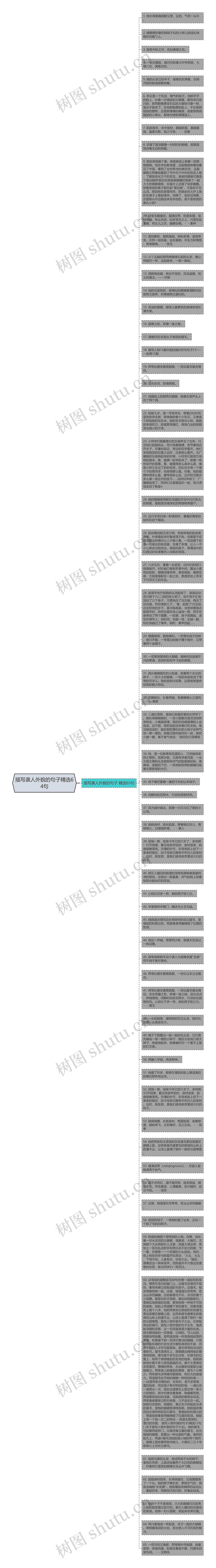 描写袭人外貌的句子精选64句