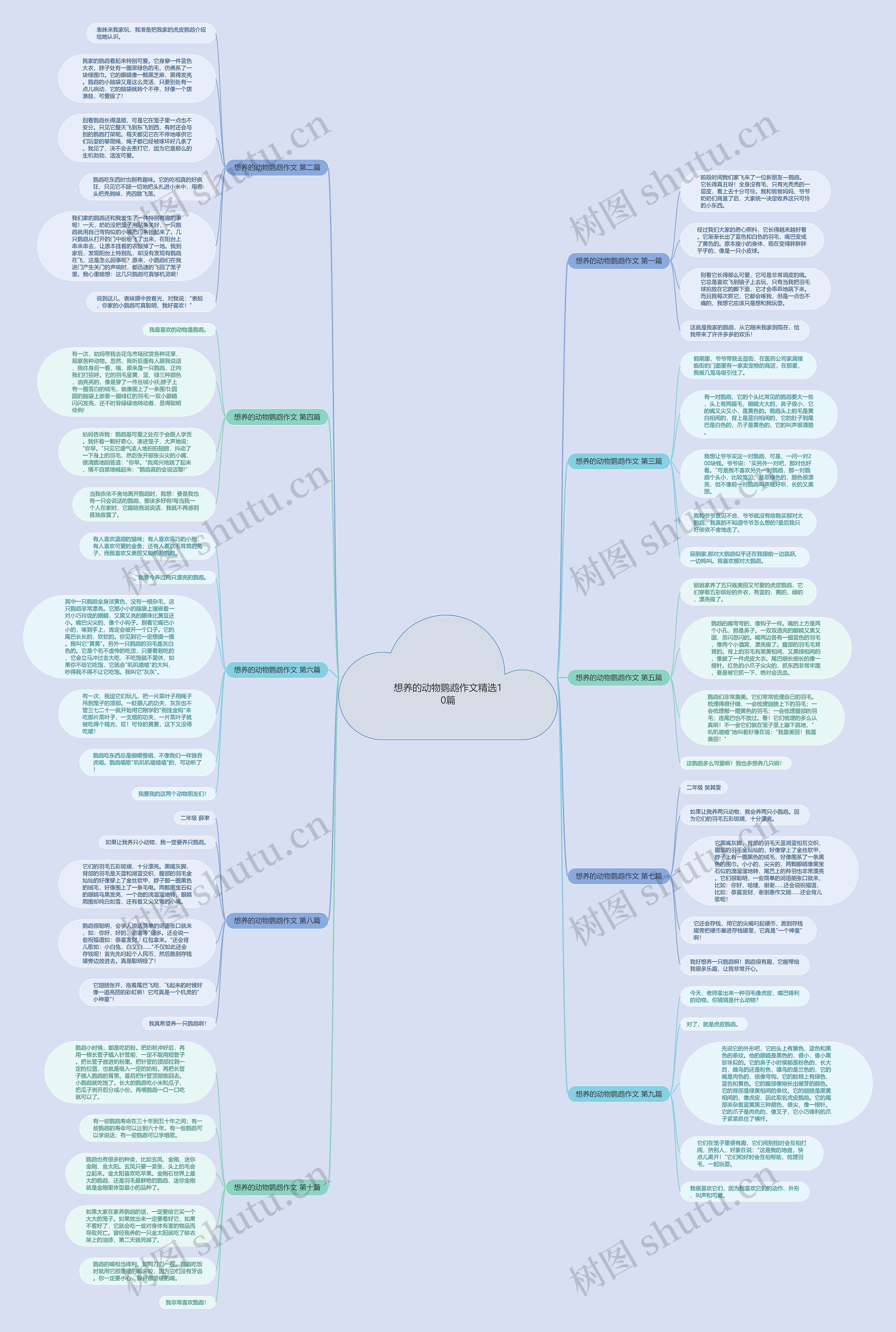 想养的动物鹦鹉作文精选10篇 想养的动物鹦鹉作文精选10篇