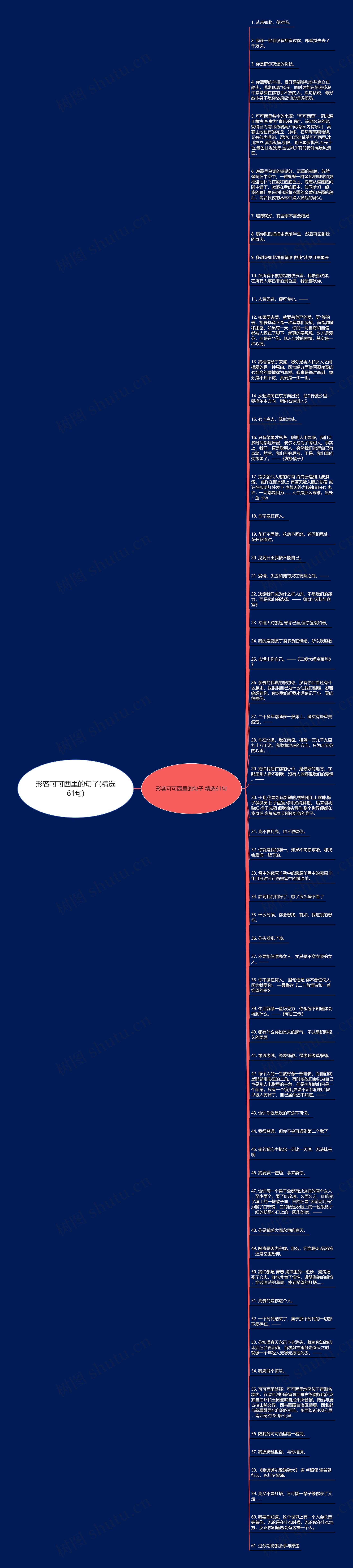 形容可可西里的句子(精选61句)思维导图