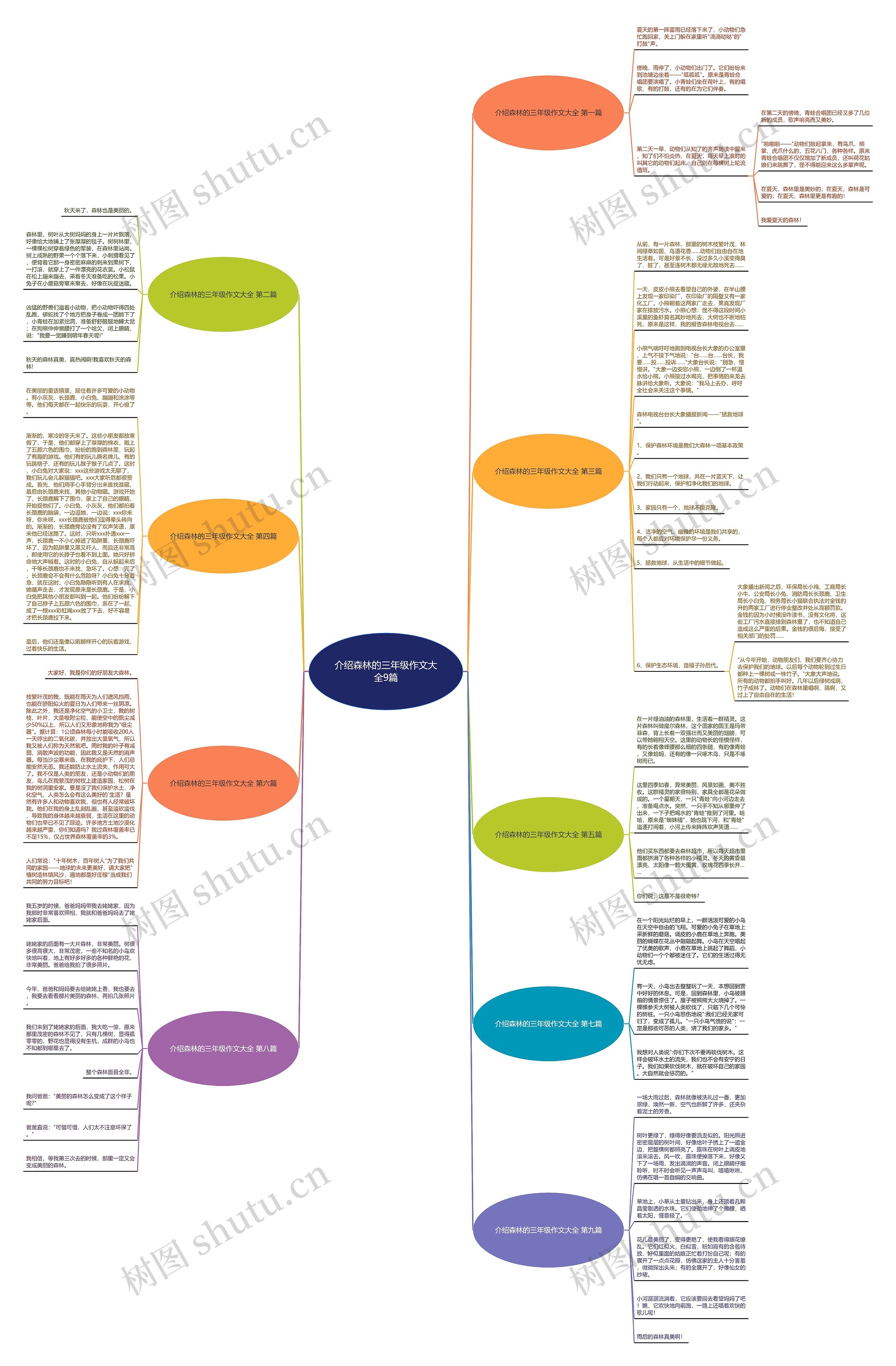 介绍森林的三年级作文大全9篇思维导图