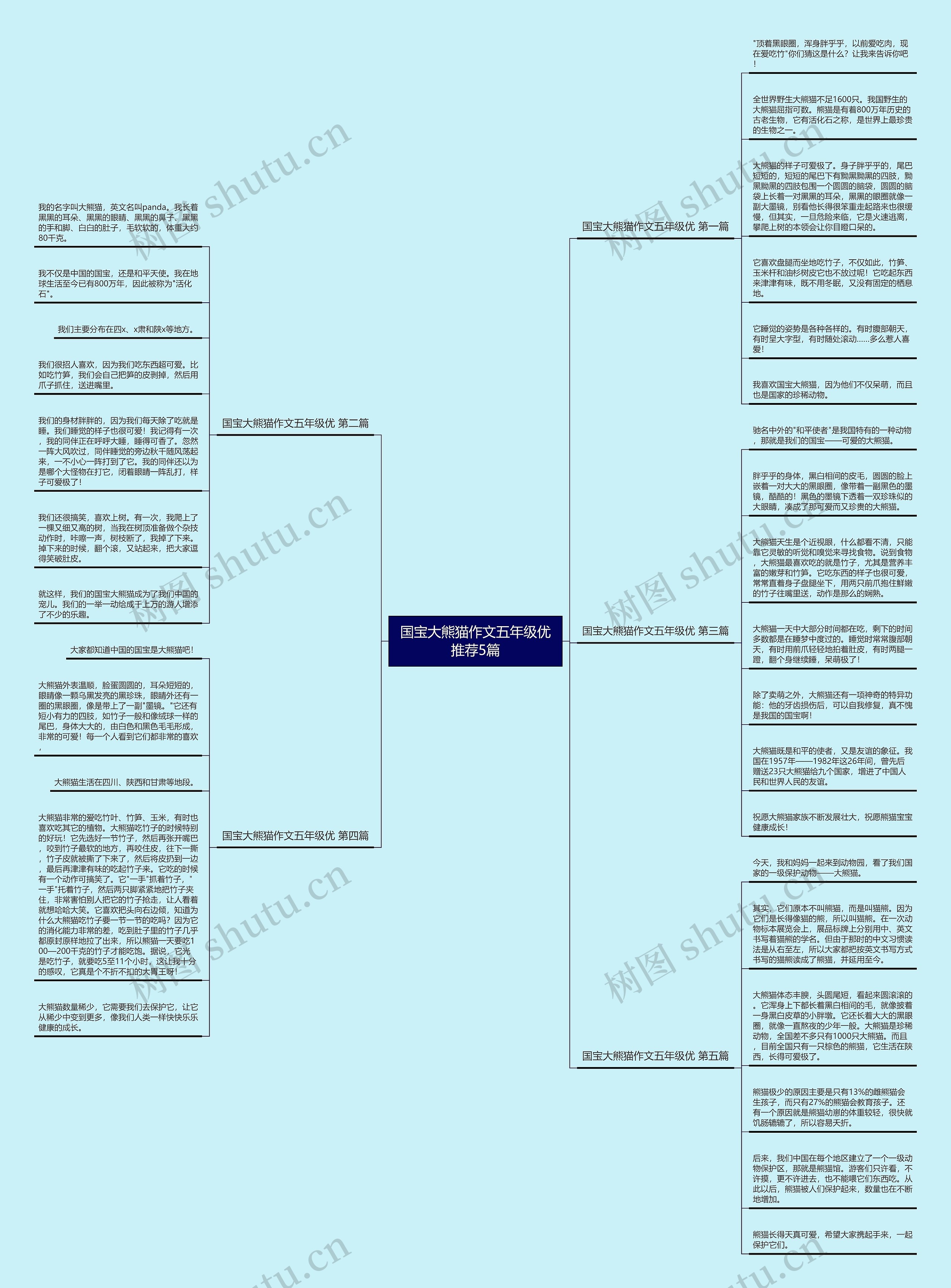 国宝大熊猫作文五年级优推荐5篇思维导图