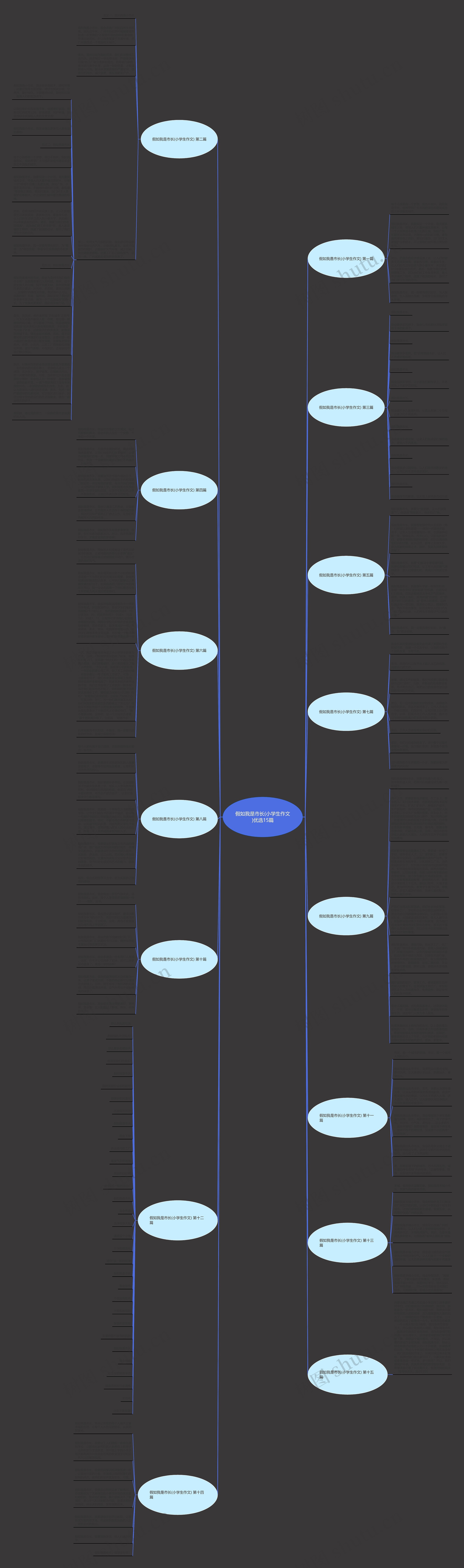假如我是市长(小学生作文)优选15篇思维导图