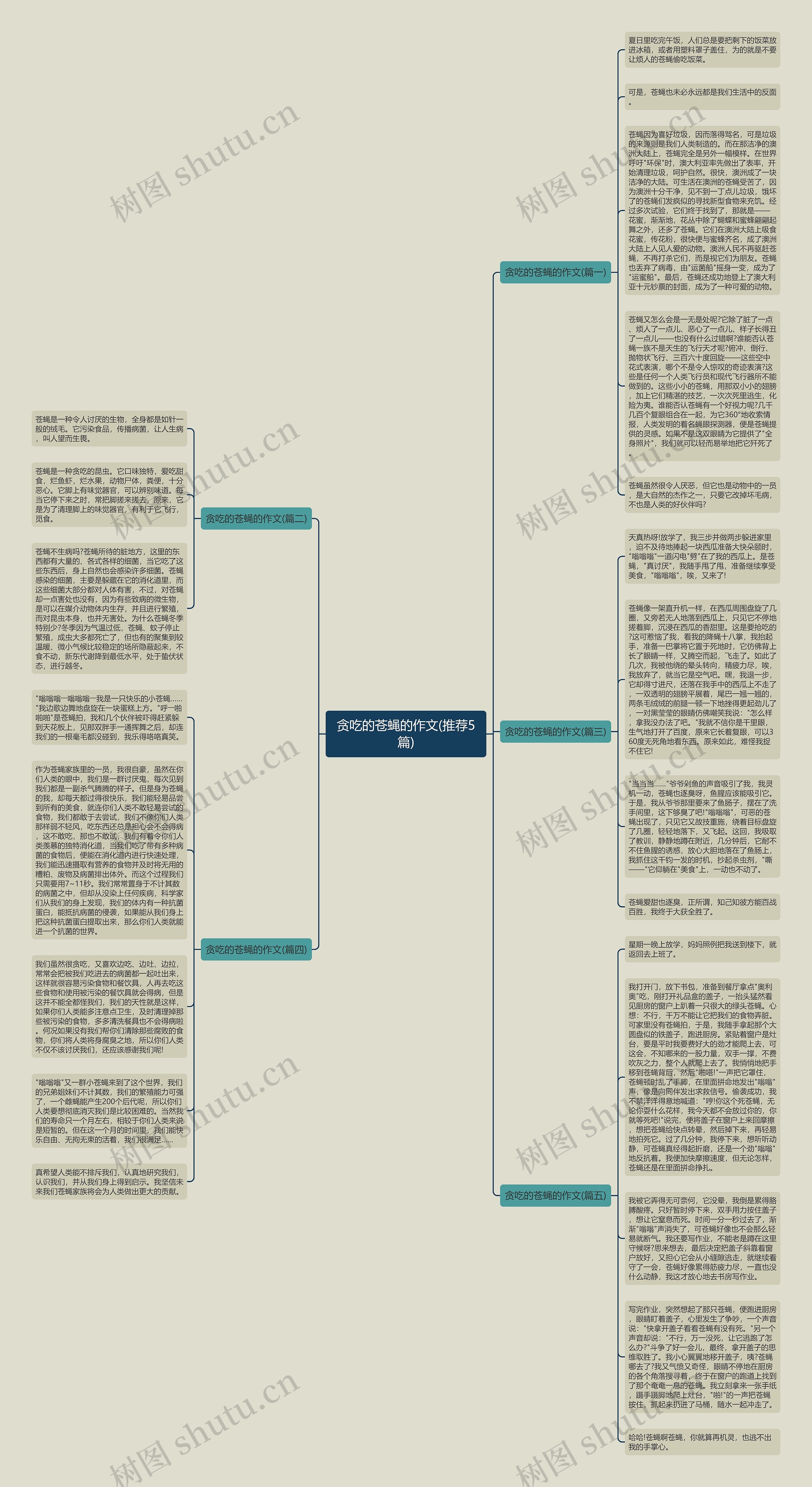 贪吃的苍蝇的作文(推荐5篇)思维导图