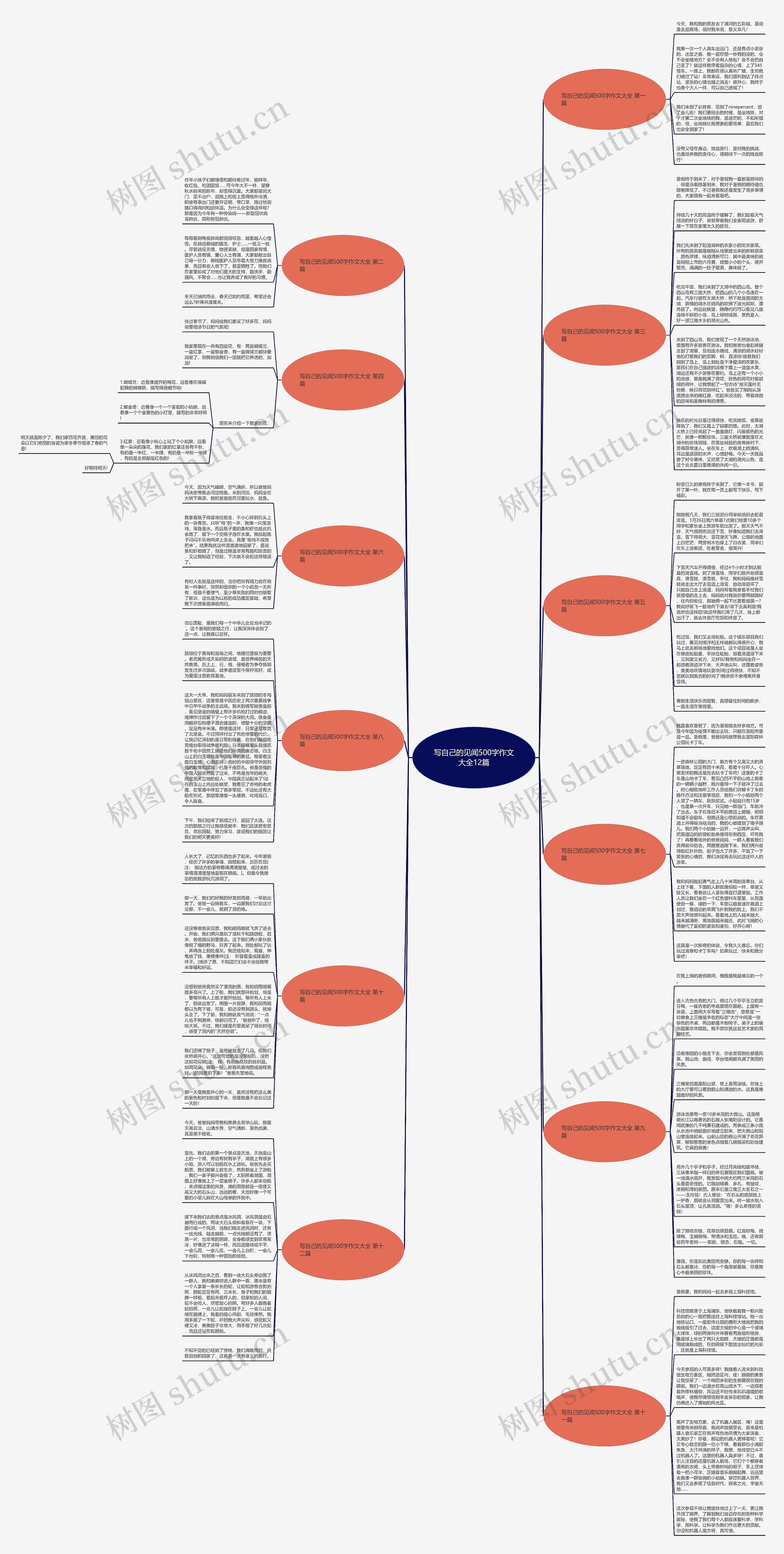 写自己的见闻500字作文大全12篇思维导图