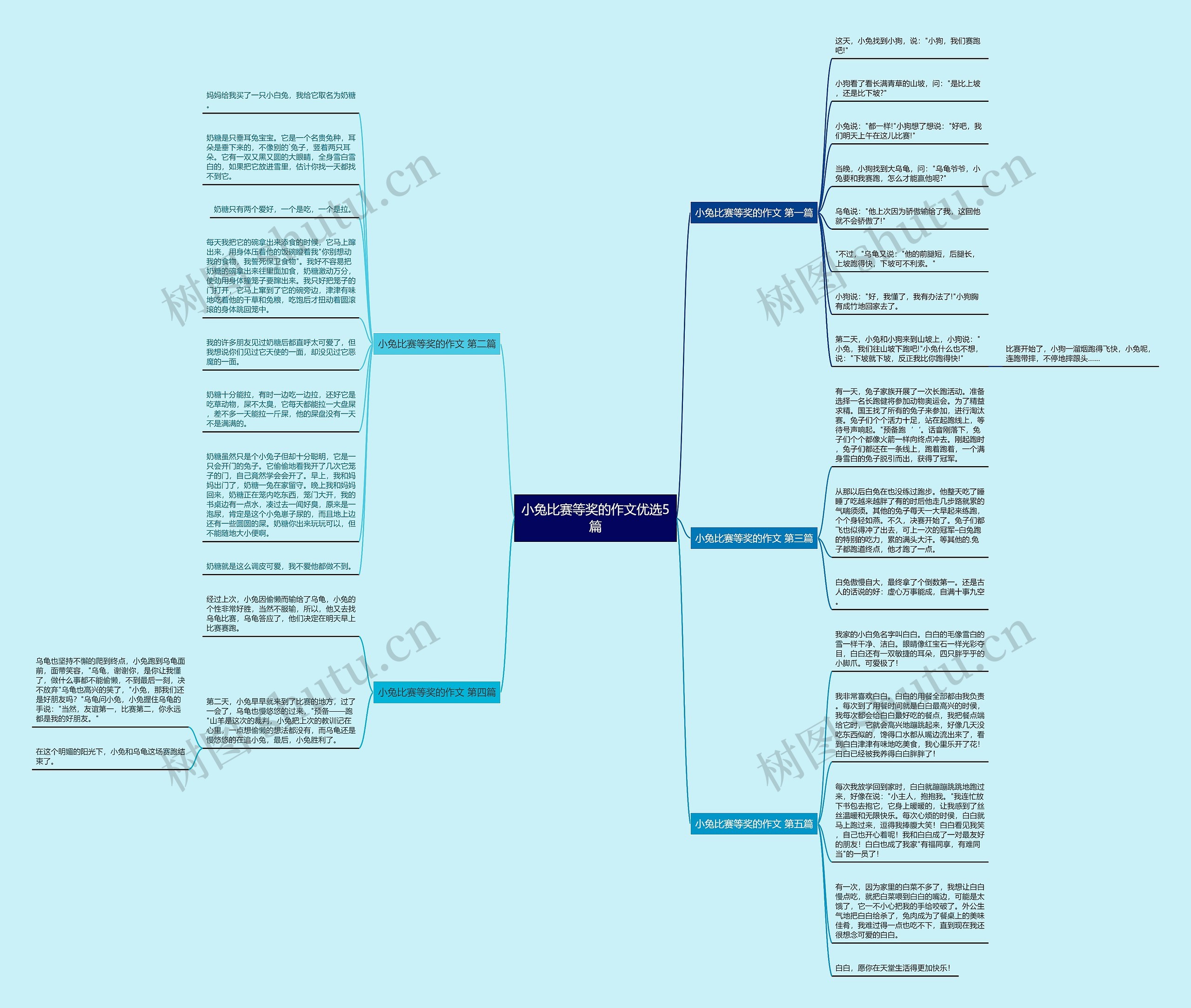 小兔比赛等奖的作文优选5篇思维导图