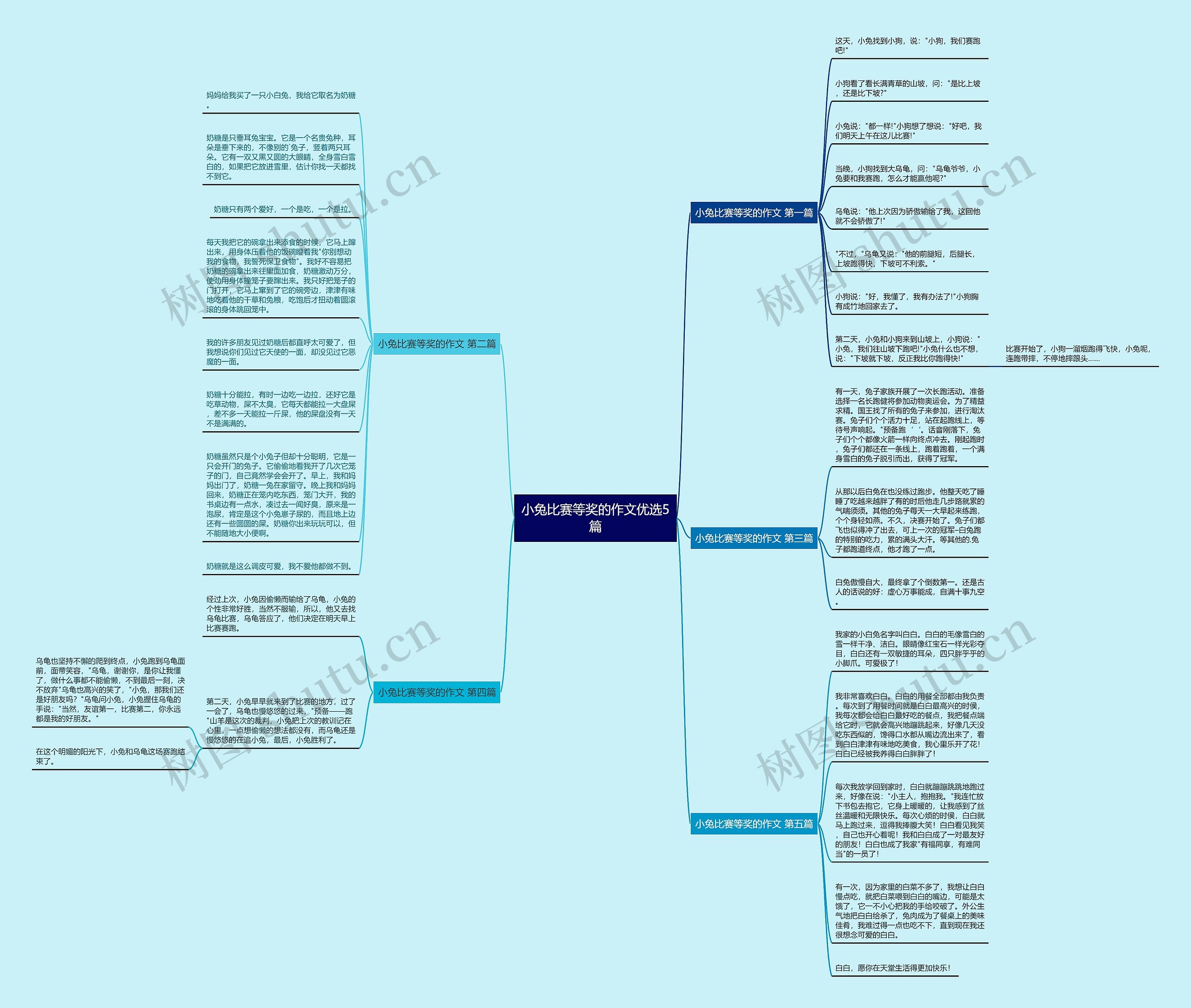 小兔比赛等奖的作文优选5篇 小兔比赛等奖的作文优选5篇
