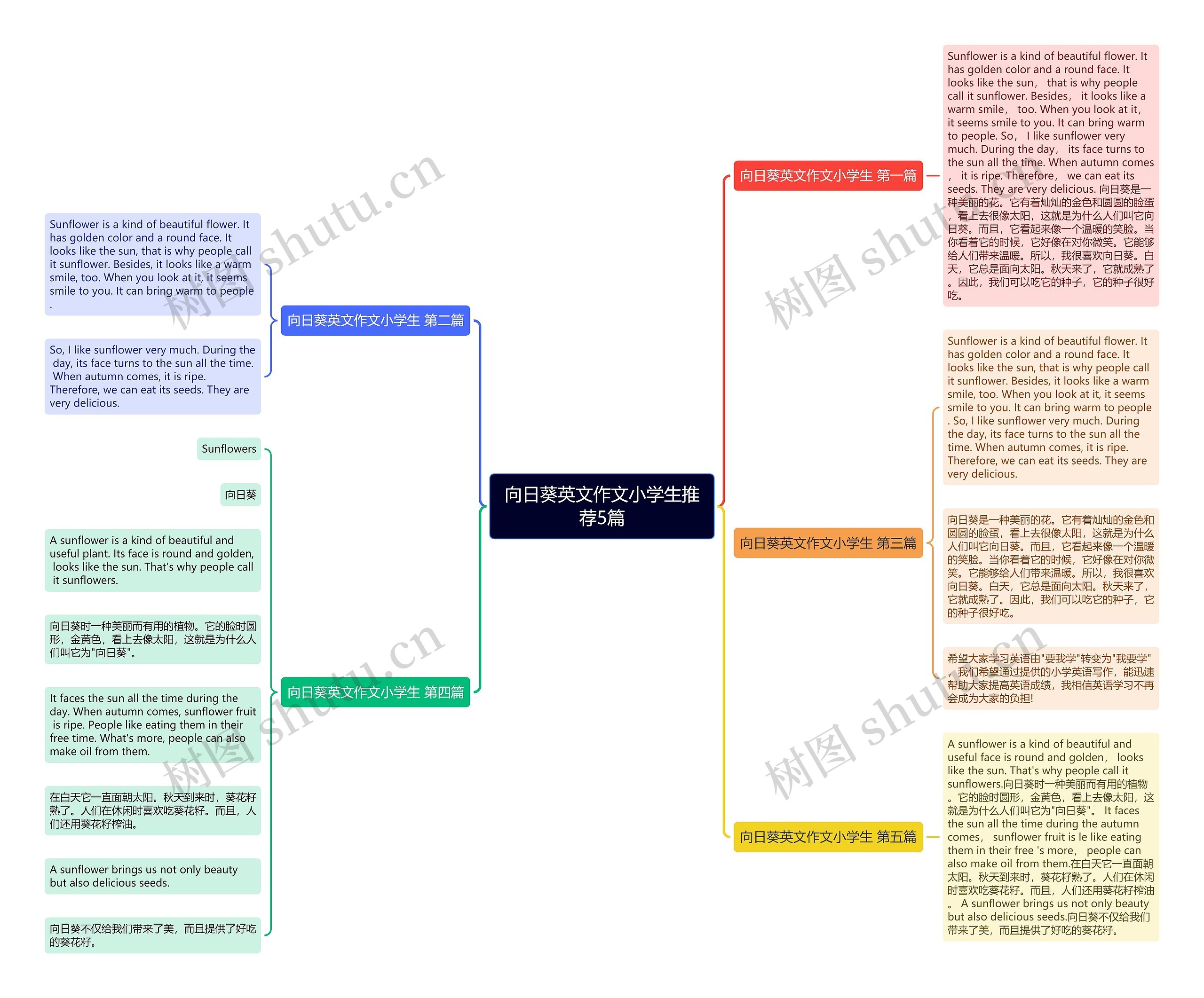 向日葵英文作文小学生推荐5篇 向日葵英文作文小学生推荐5篇