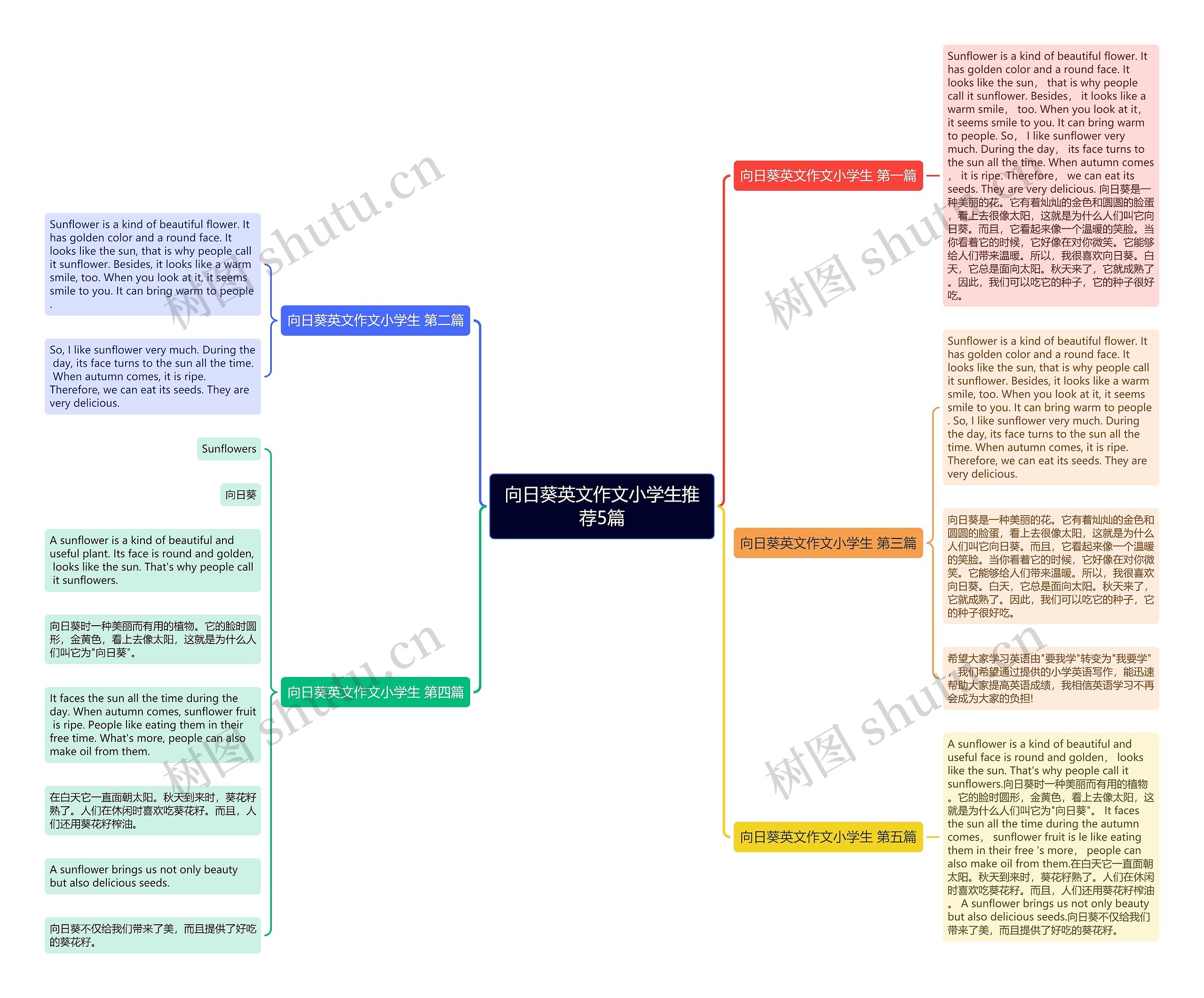 向日葵英文作文小学生推荐5篇思维导图