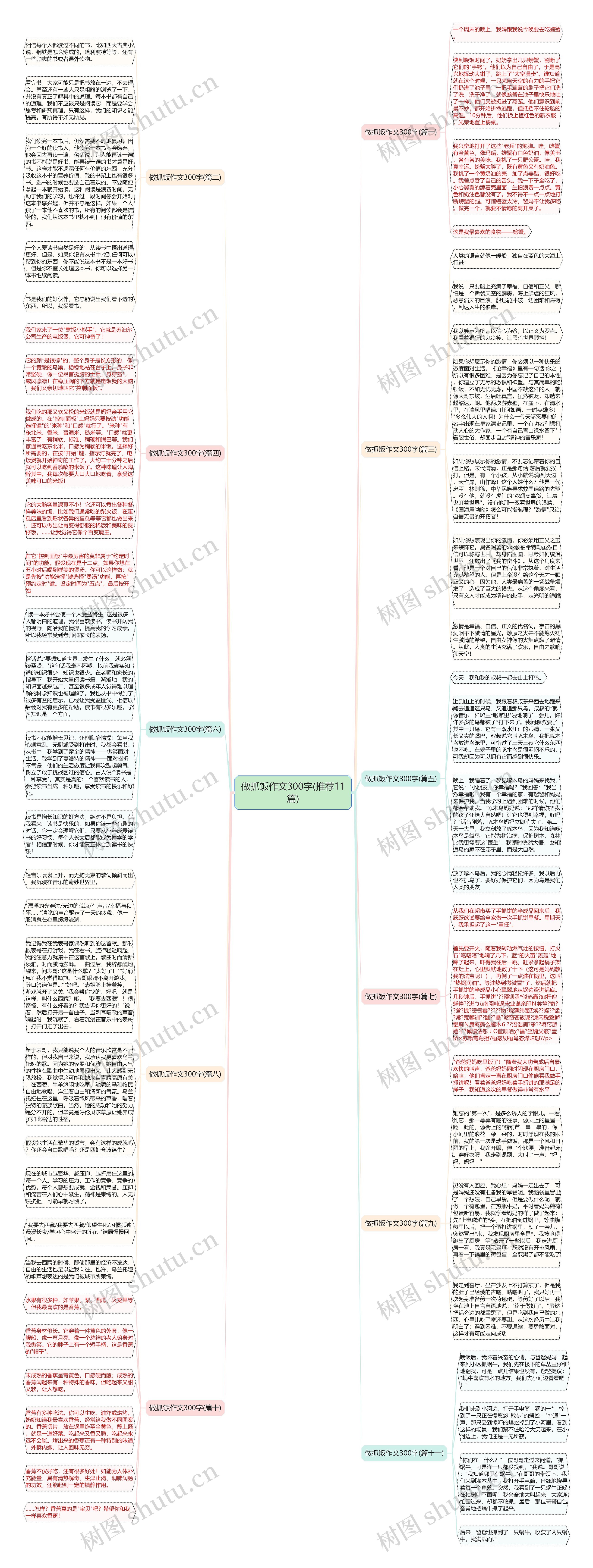 做抓饭作文300字(推荐11篇)思维导图