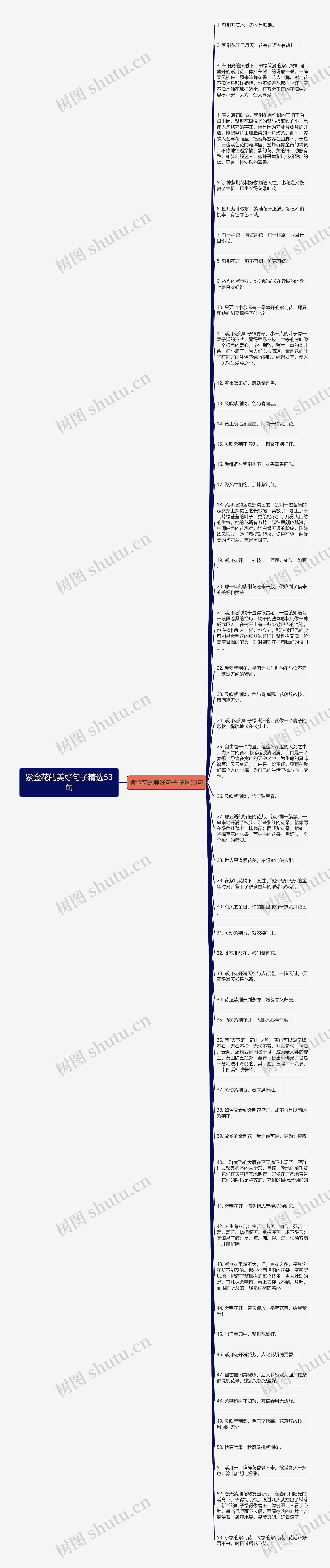 紫金花的美好句子精选53句