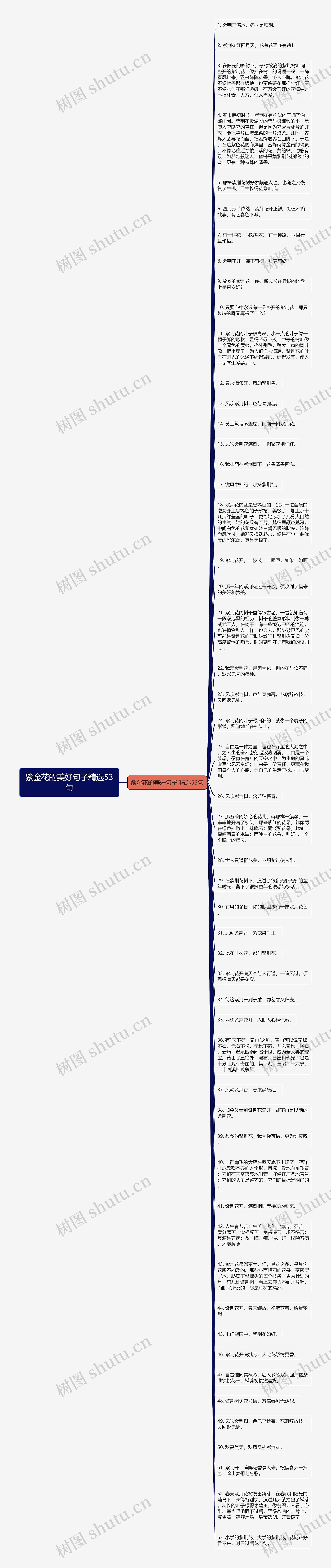 紫金花的美好句子精选53句思维导图