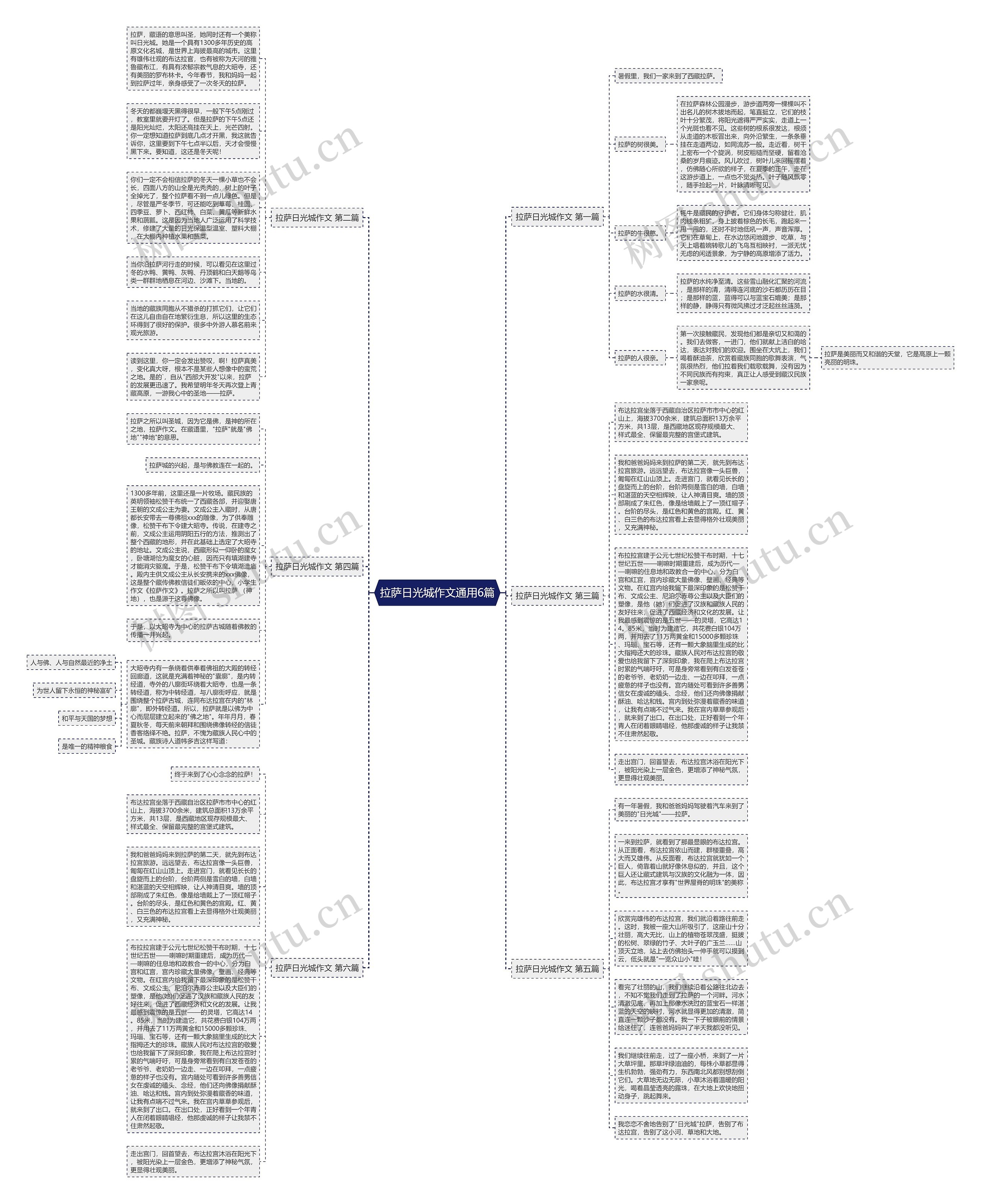 拉萨日光城作文通用6篇思维导图