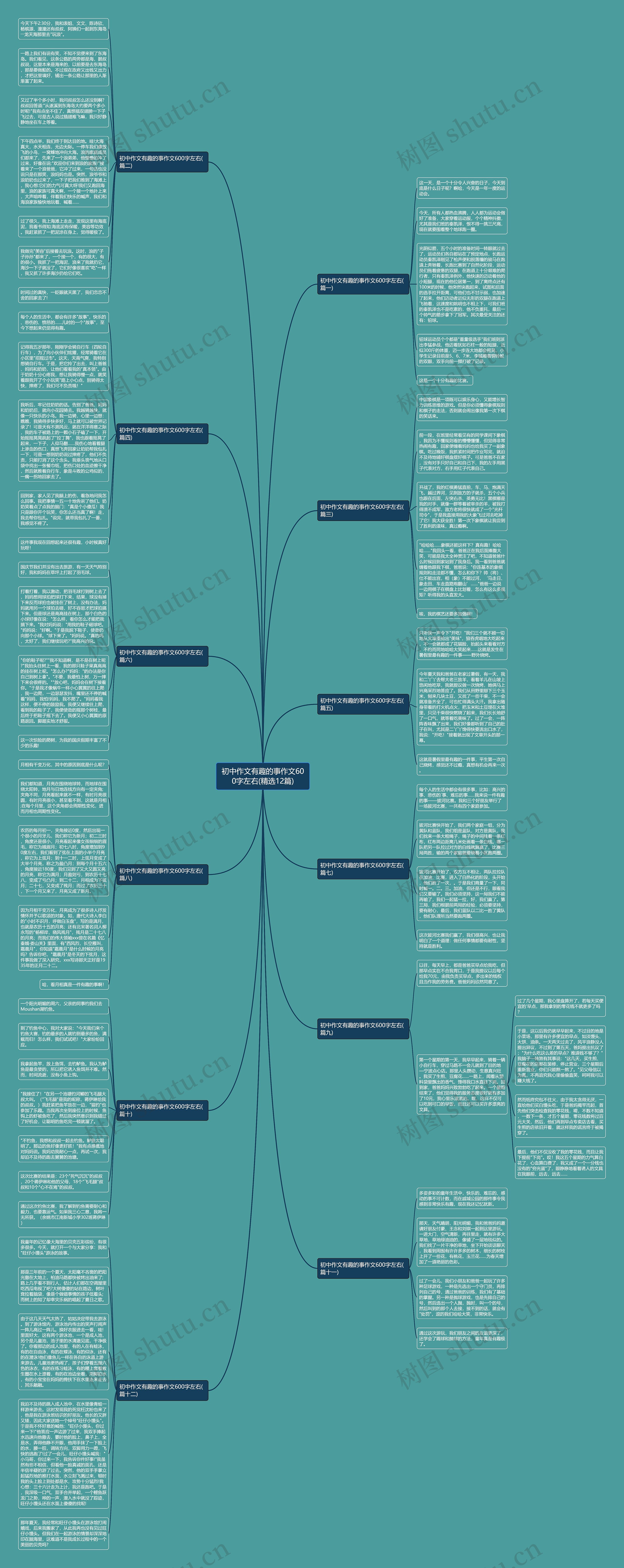 初中作文有趣的事作文600字左右(精选12篇)思维导图