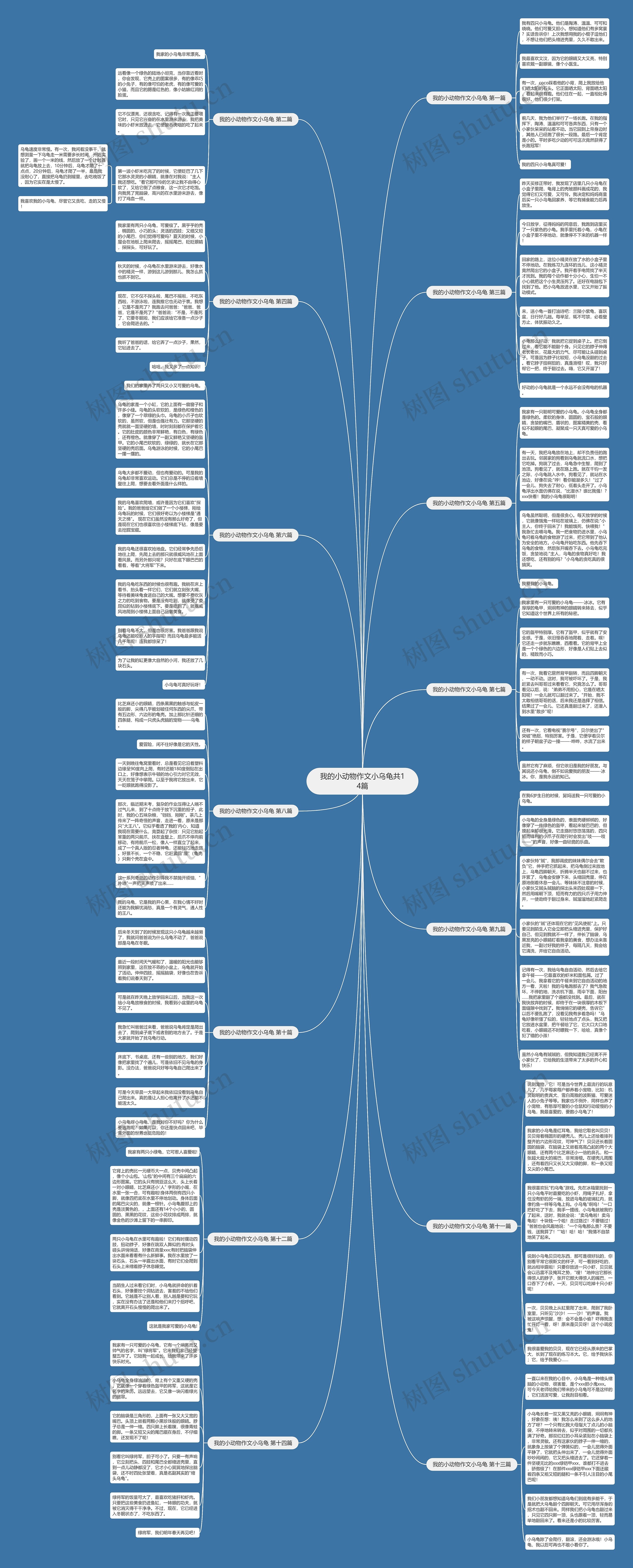 我的小动物作文小乌龟共14篇思维导图