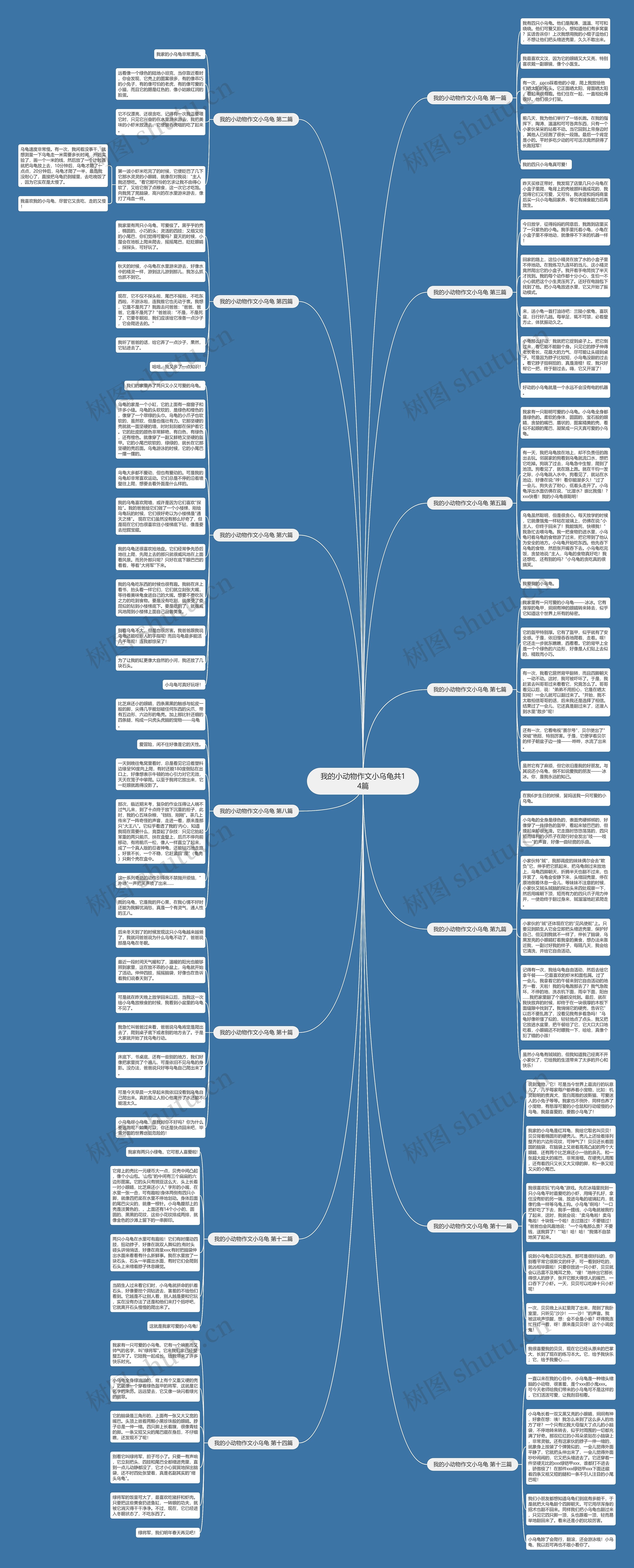 我的小动物作文小乌龟共14篇思维导图高清图 我的小动物作文小乌龟共14篇思维导图