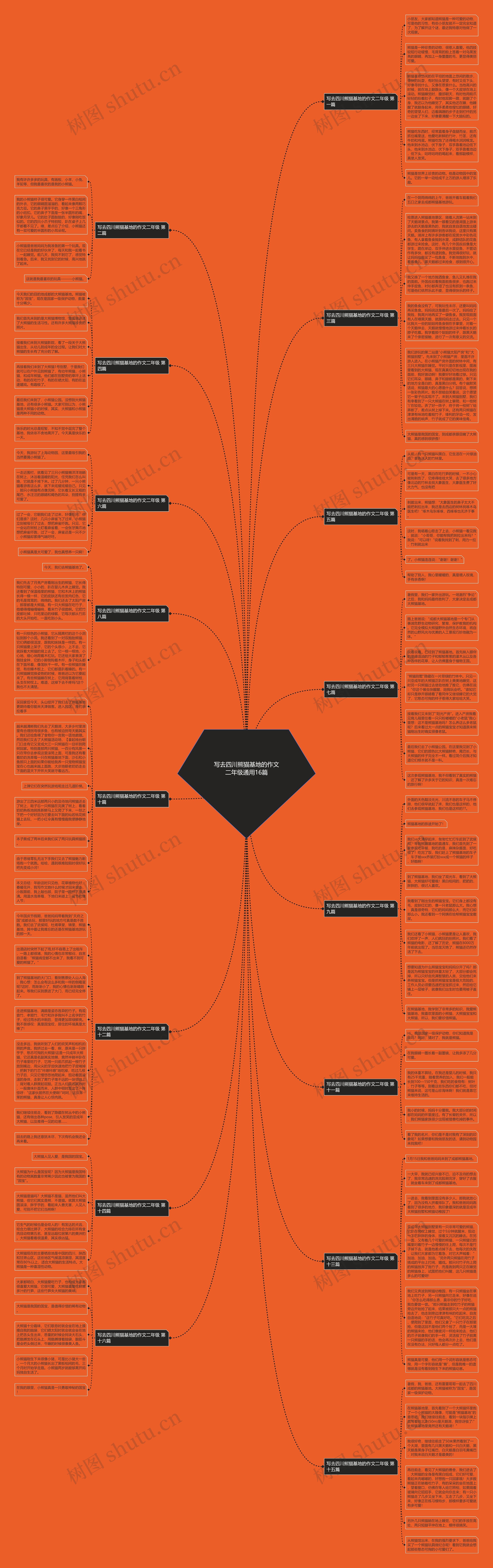 写去四川熊猫基地的作文二年级通用16篇