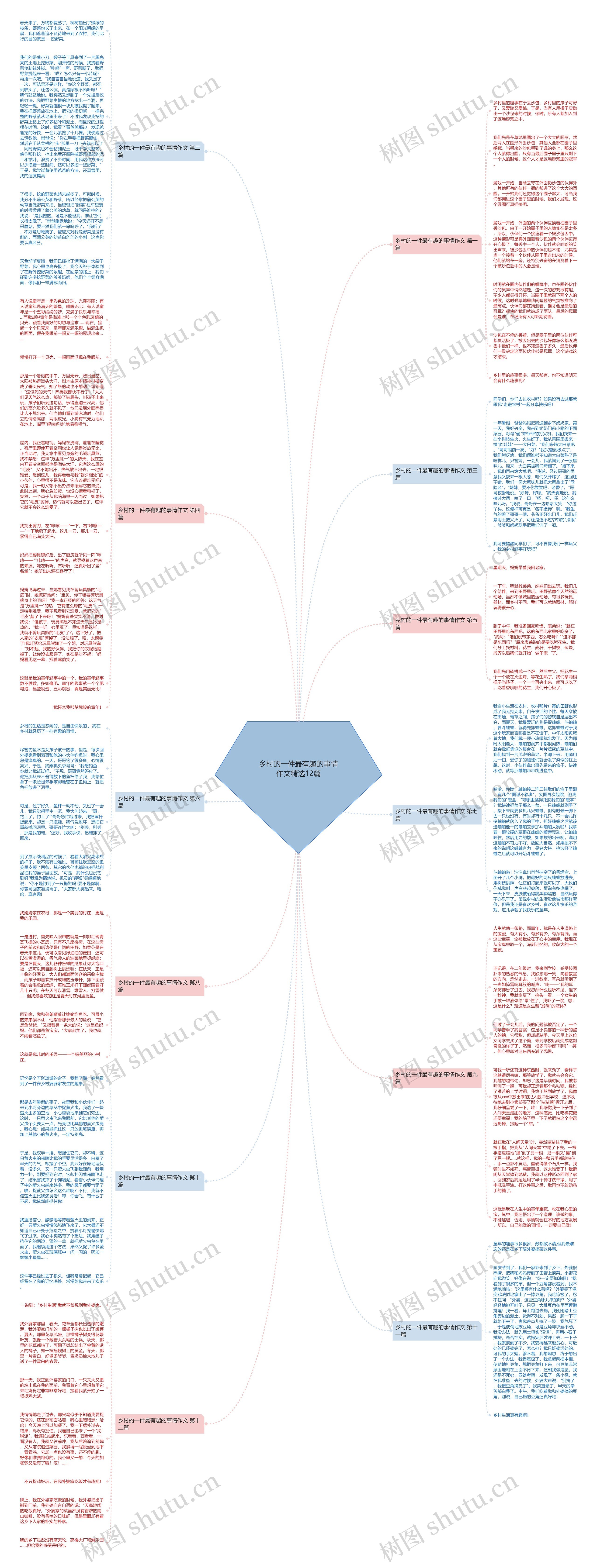 乡村的一件最有趣的事情作文精选12篇思维导图