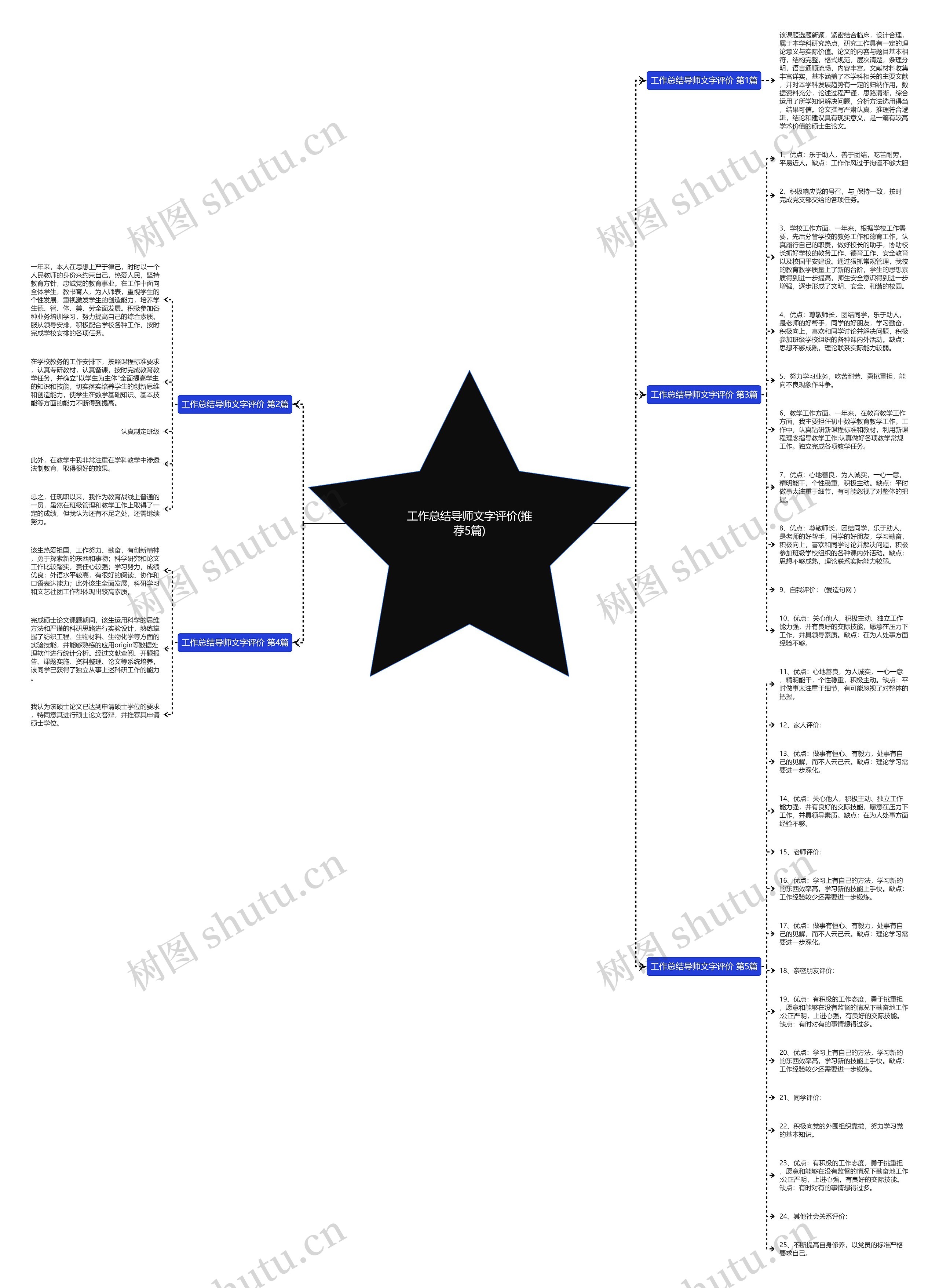 工作总结导师文字评价(推荐5篇)思维导图