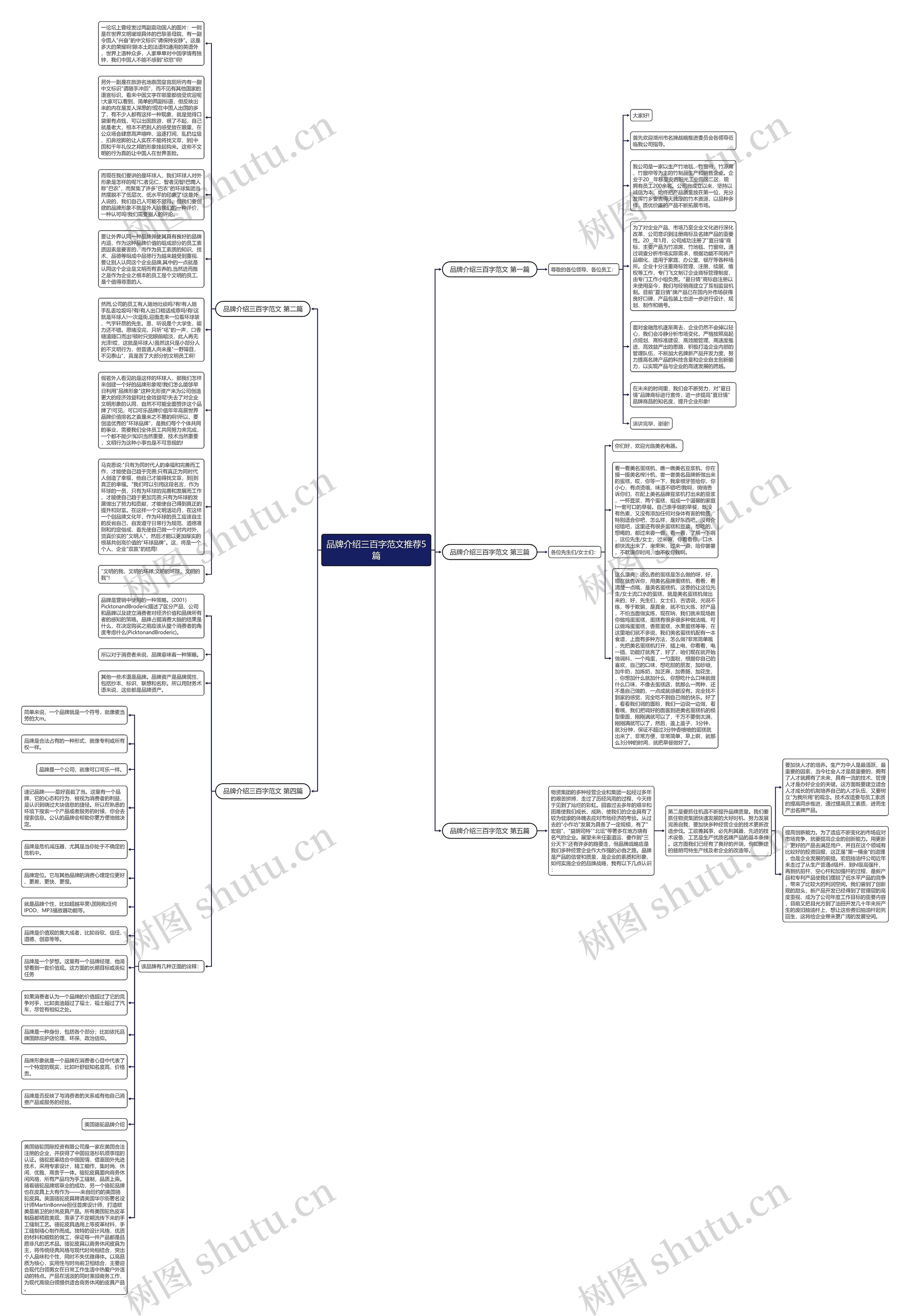 品牌介绍三百字范文推荐5篇思维导图
