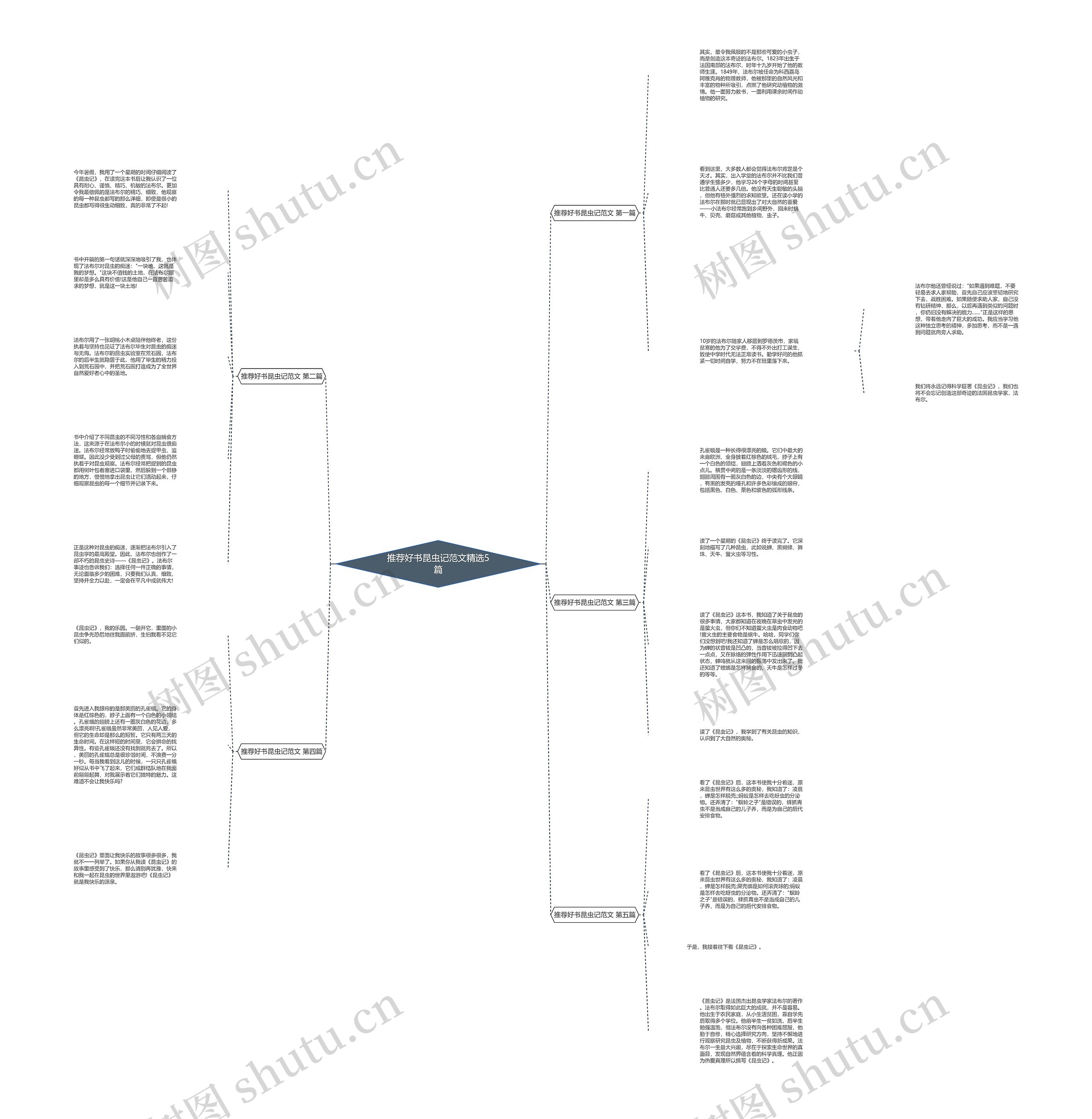 推荐好书昆虫记范文精选5篇思维导图