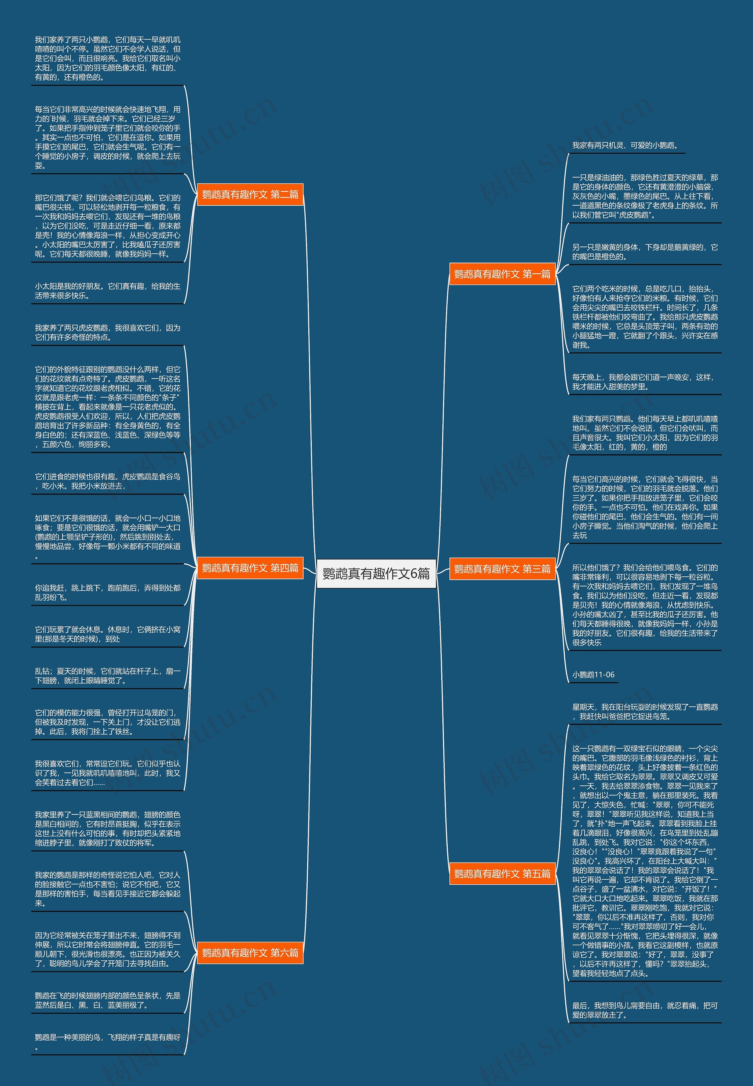 鹦鹉真有趣作文6篇 鹦鹉真有趣作文6篇