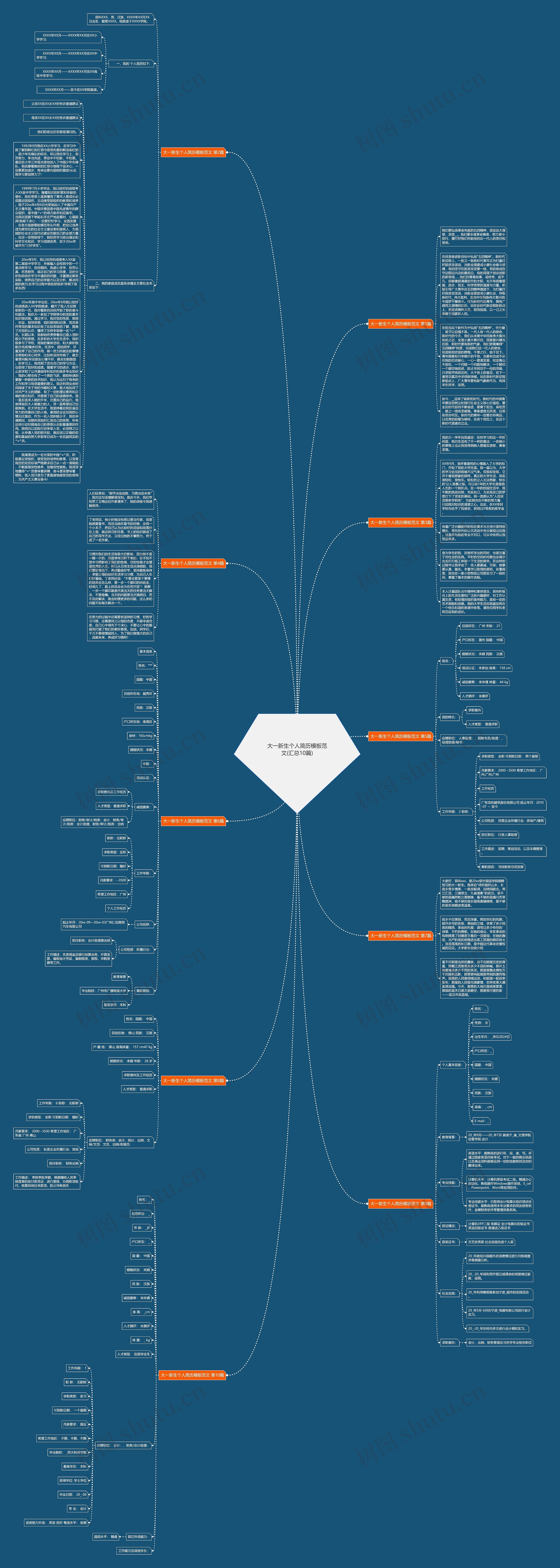大一新生个人简历范文(汇总10篇)思维导图高清图 大一新生个人简历范文(汇总10篇)思维导图