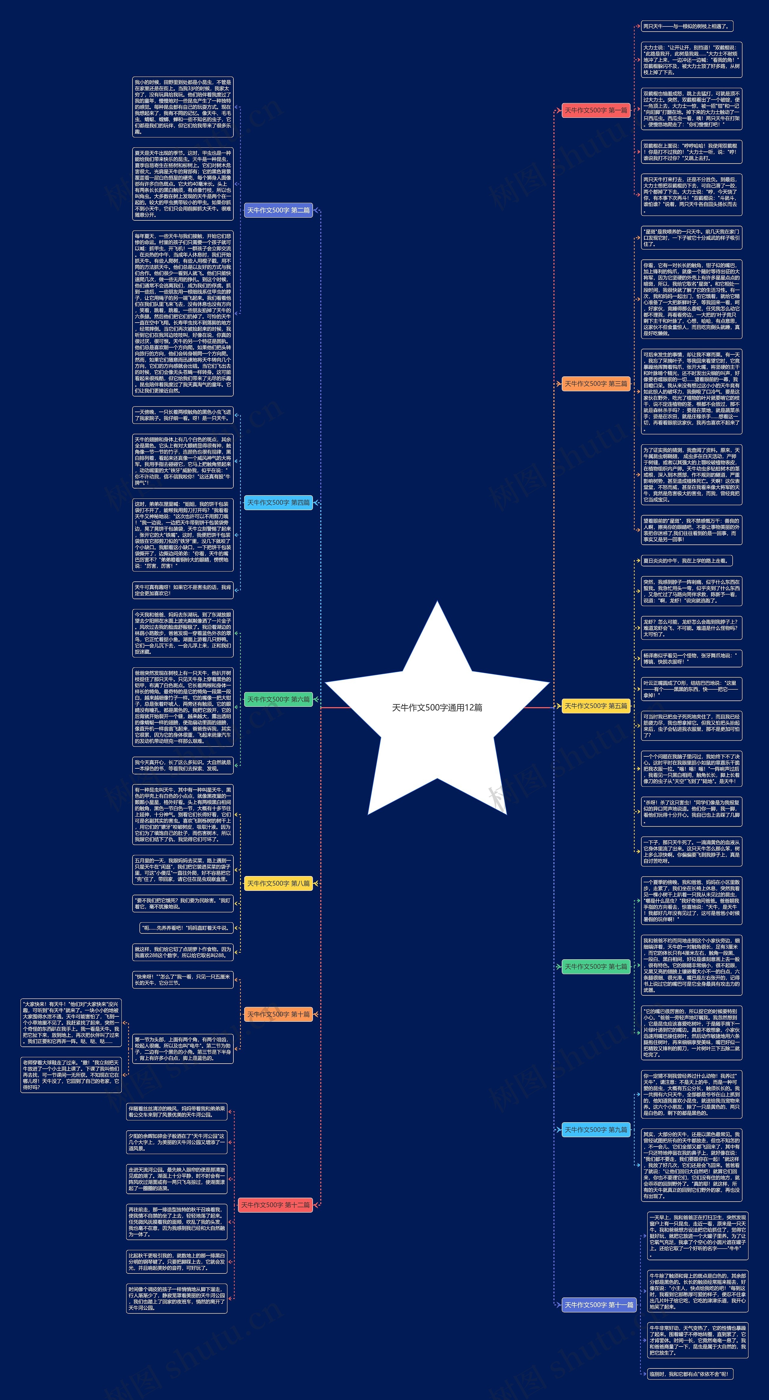 天牛作文500字通用12篇思维导图