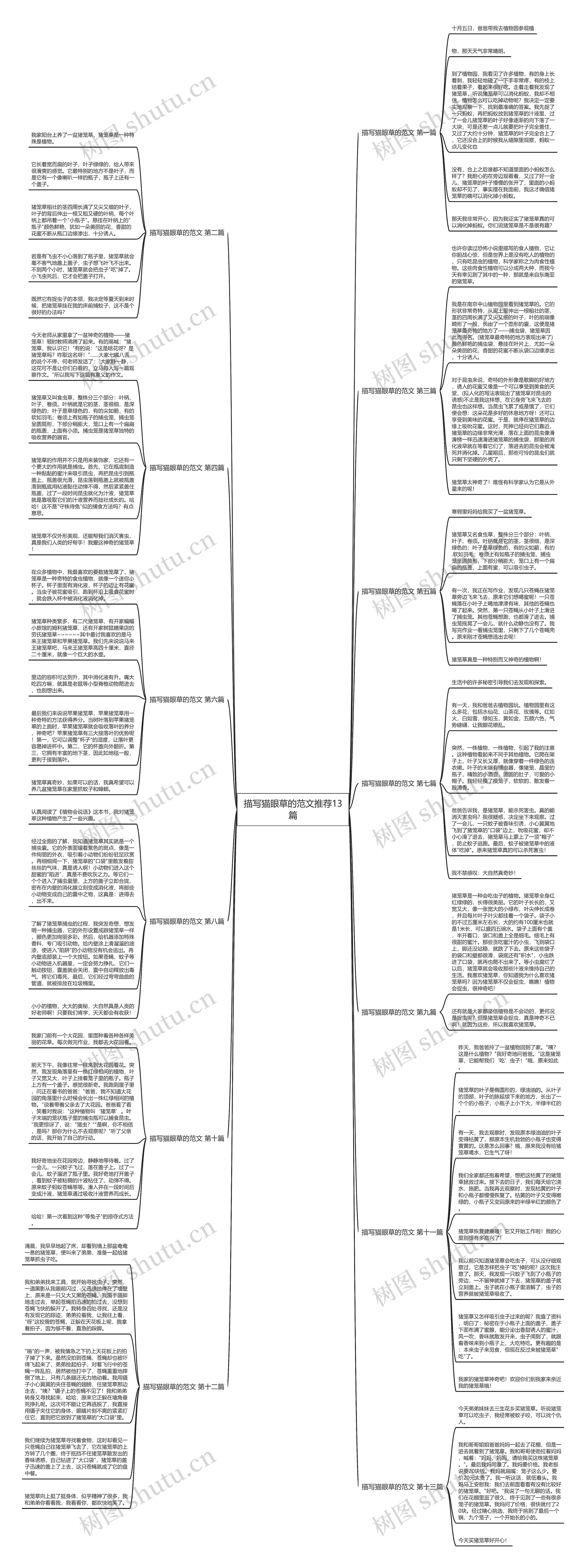 描写猫眼草的范文推荐13篇 描写猫眼草的范文推荐13篇