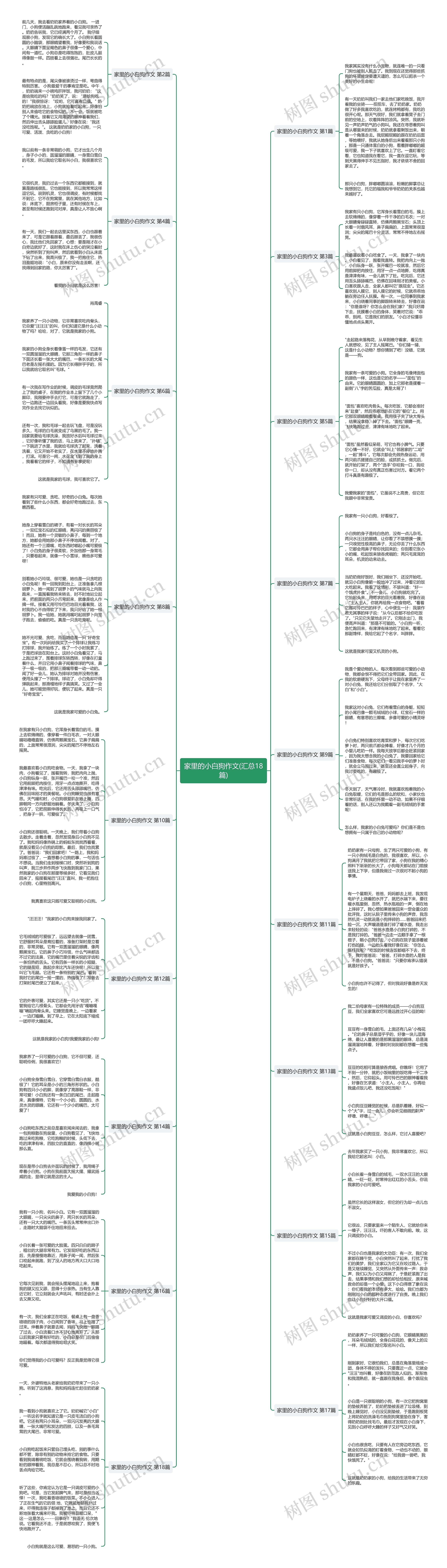 家里的小白狗作文(汇总18篇)思维导图