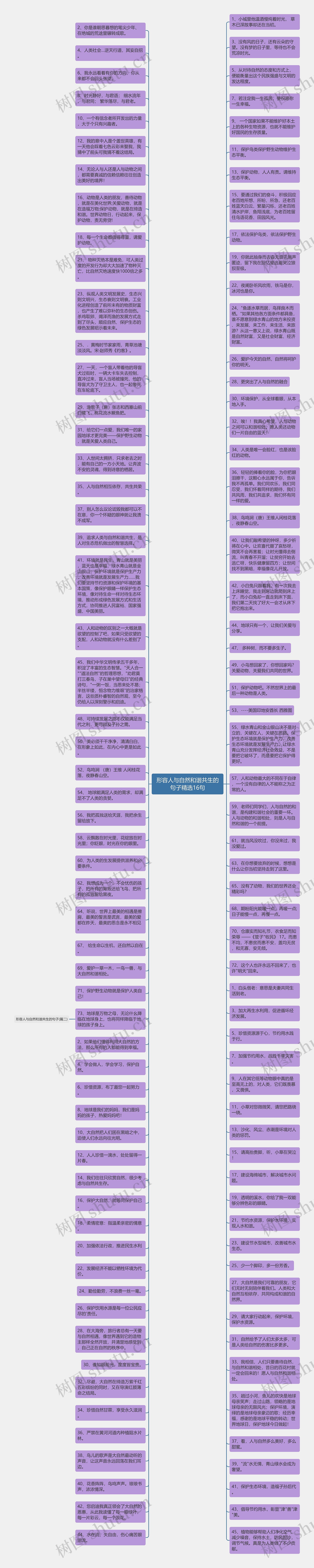 形容人与自然和谐共生的句子精选16句思维导图