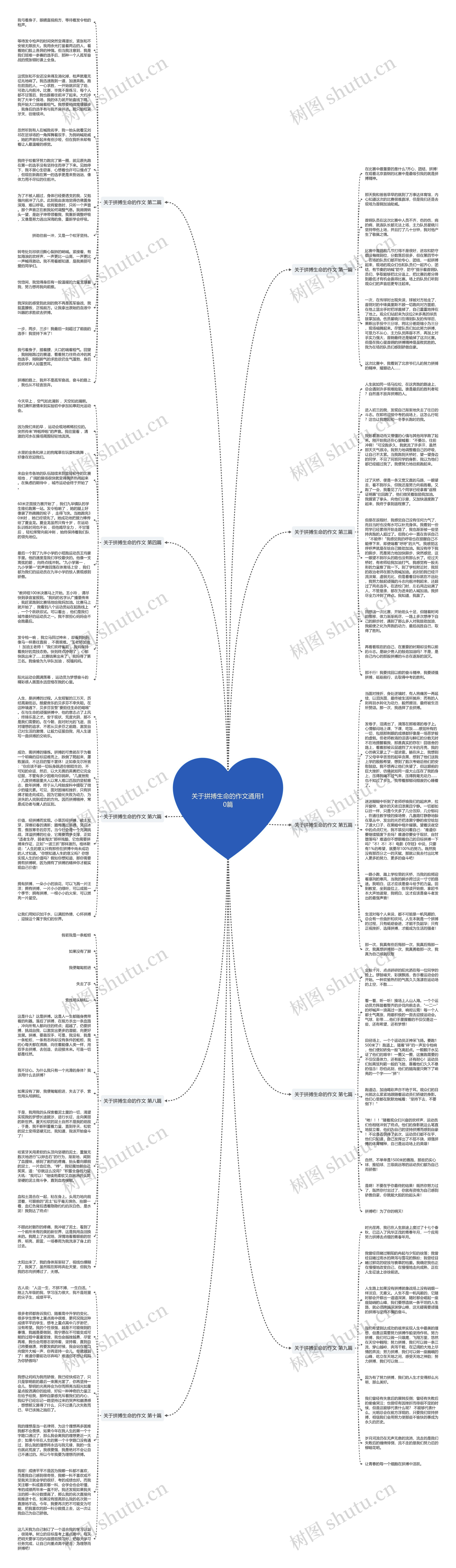 关于拼搏生命的作文通用10篇思维导图