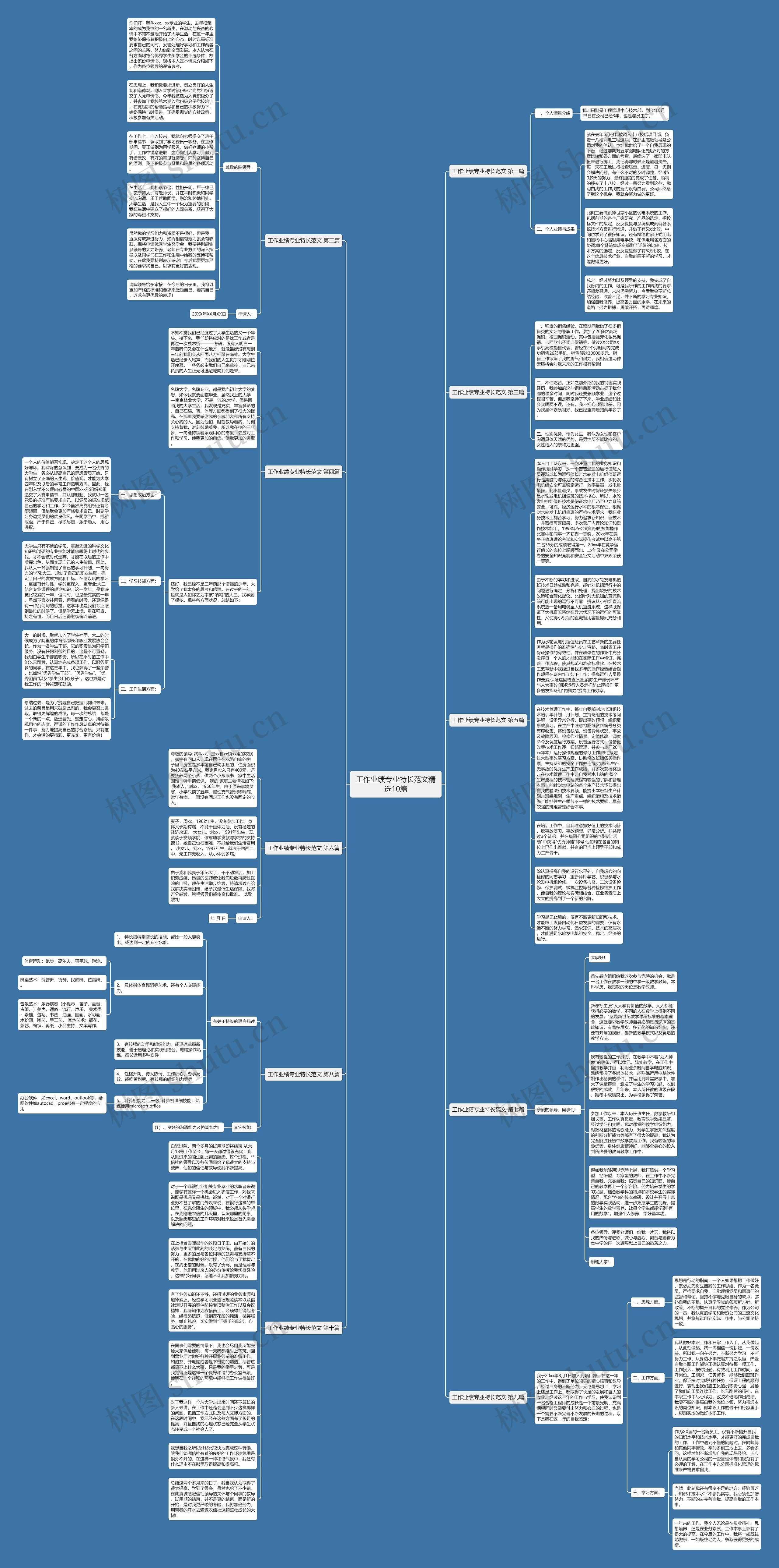 工作业绩专业特长范文精选10篇思维导图