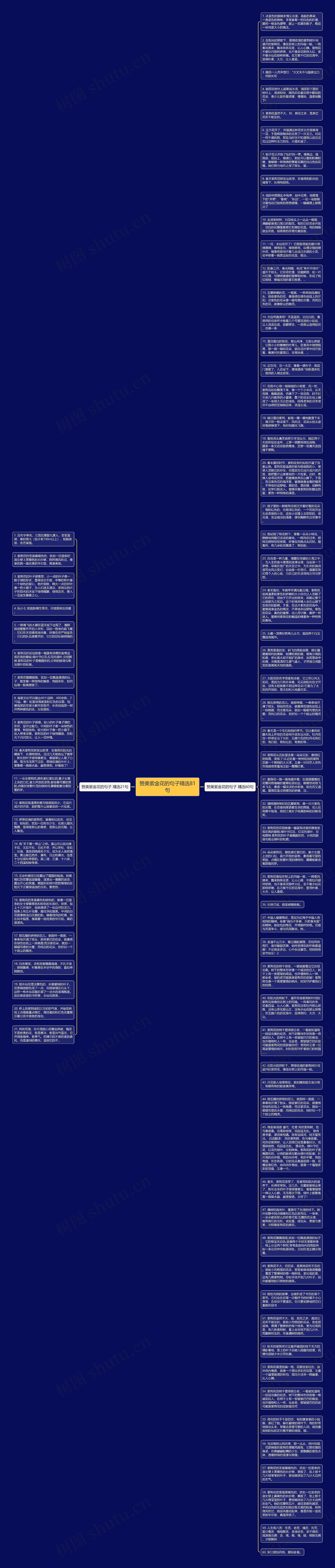 赞美紫金花的句子精选81句思维导图