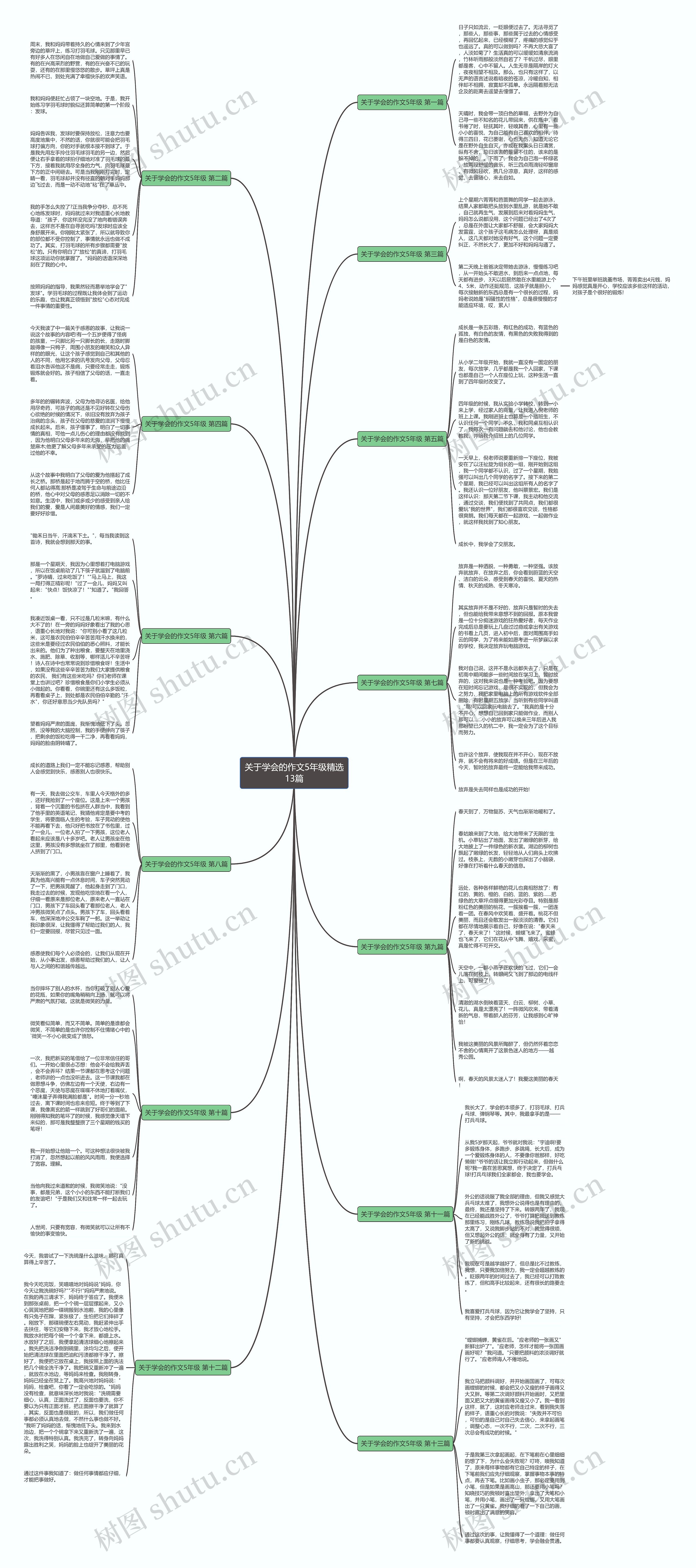 关于学会的作文5年级精选13篇思维导图