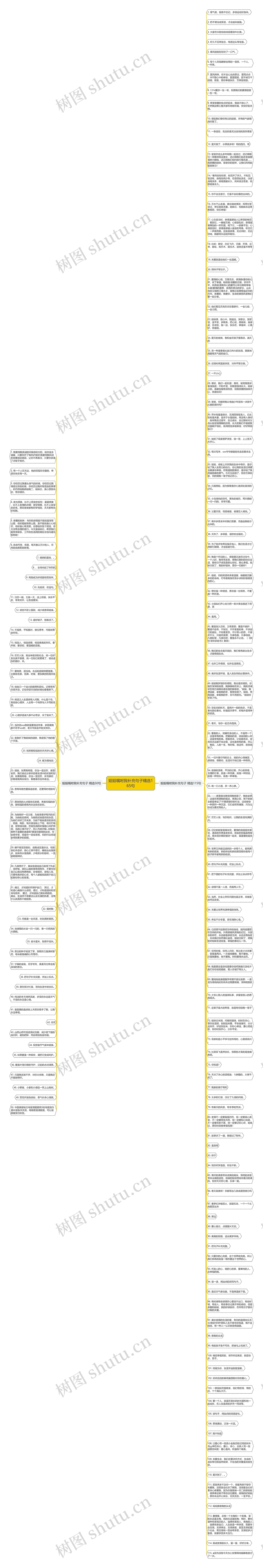 姐姐嘱咐我补充句子精选165句思维导图