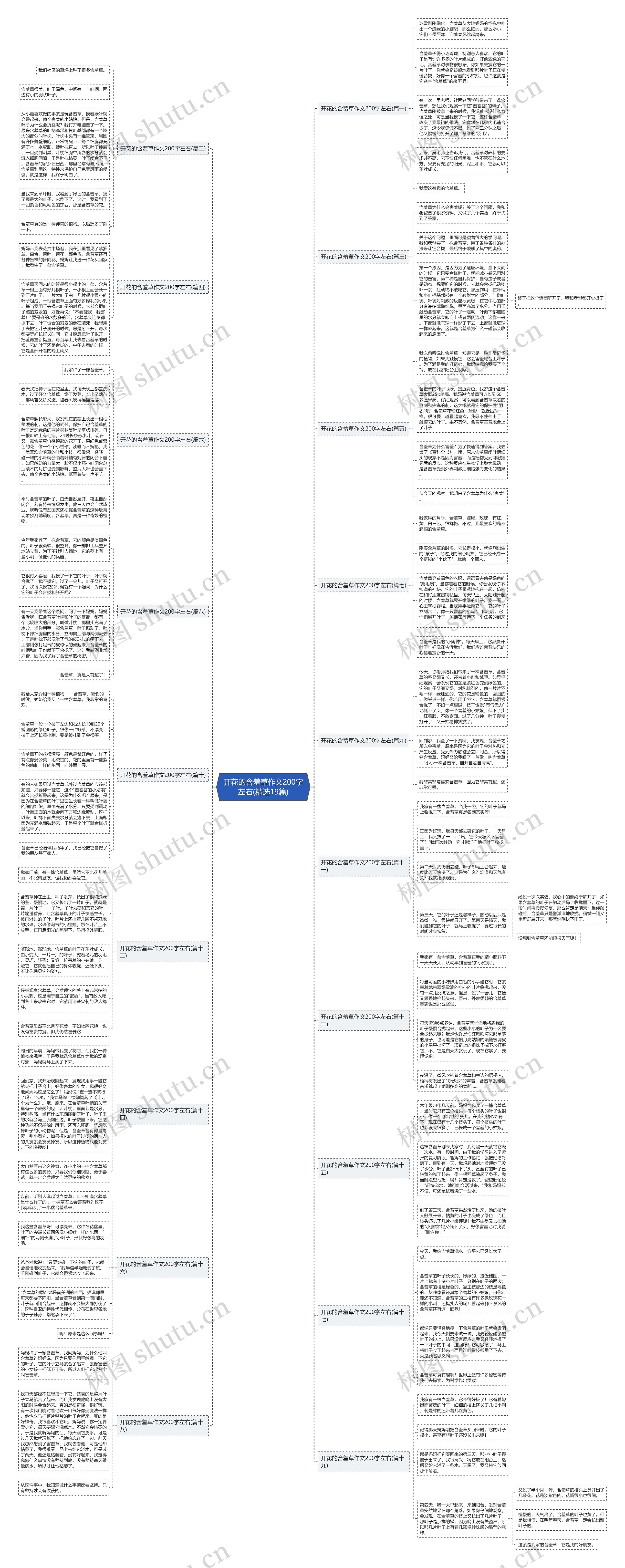 开花的含羞草作文200字左右(精选19篇)思维导图