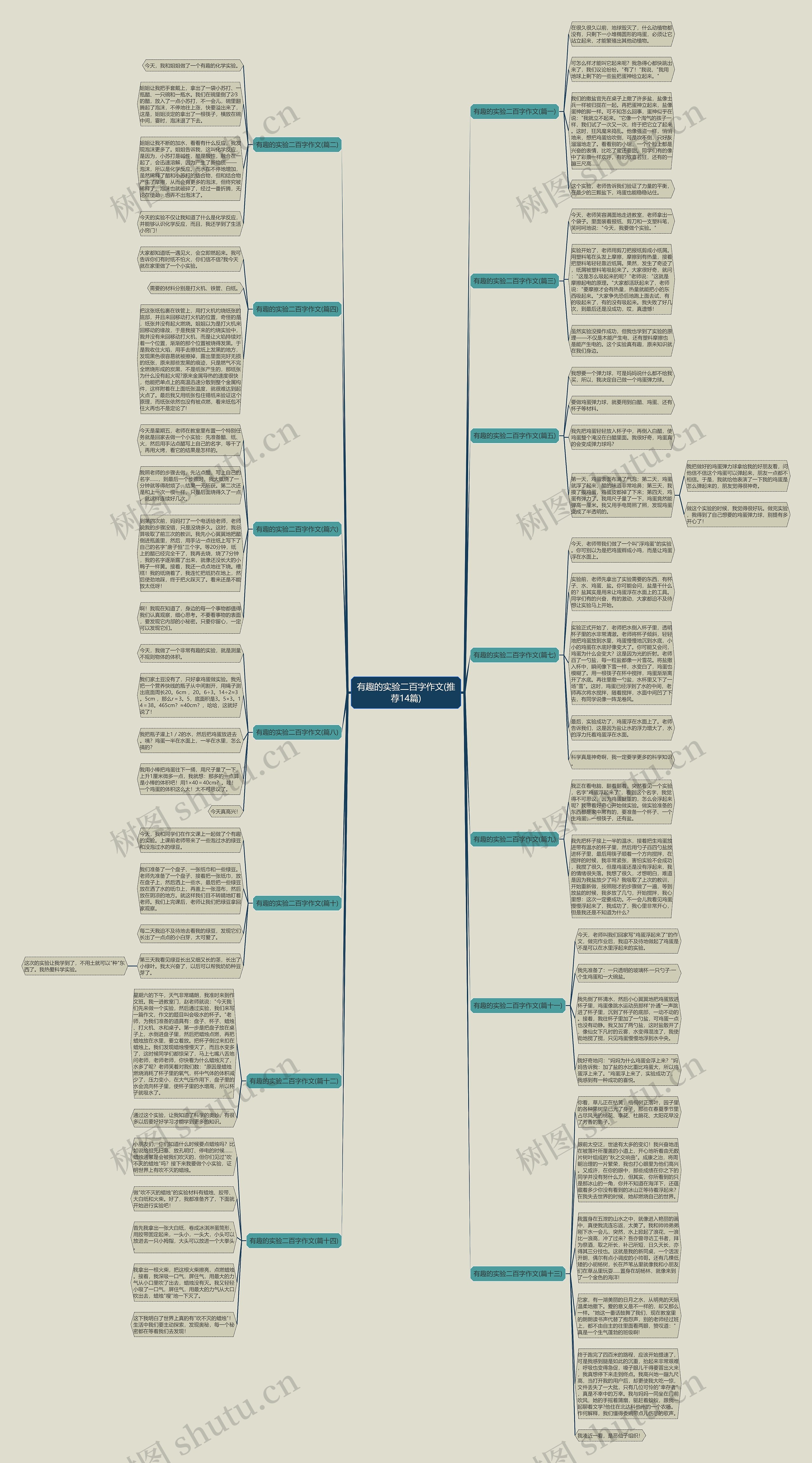 有趣的实验二百字作文(推荐14篇)思维导图