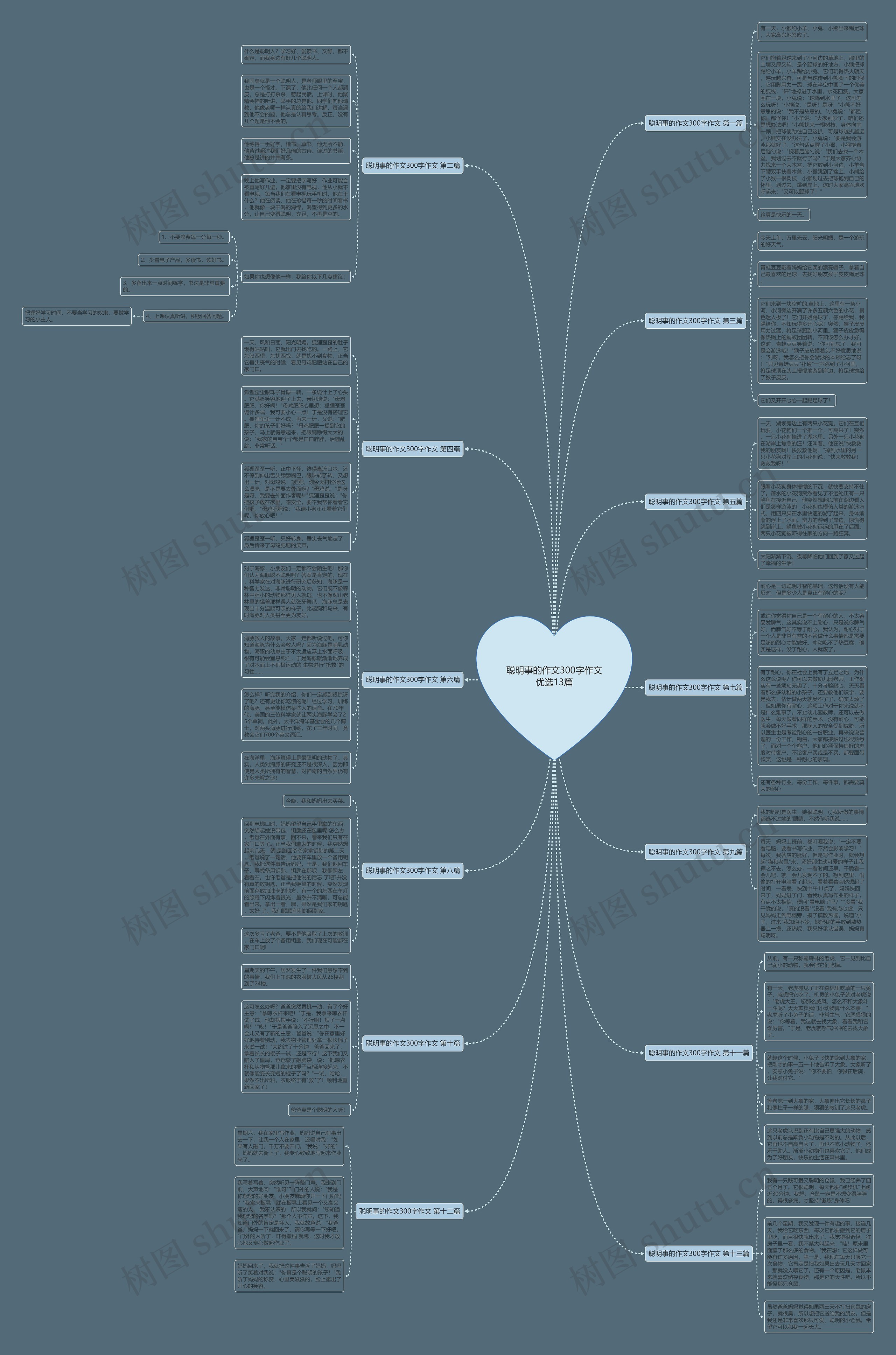 聪明事的作文300字作文优选13篇思维导图