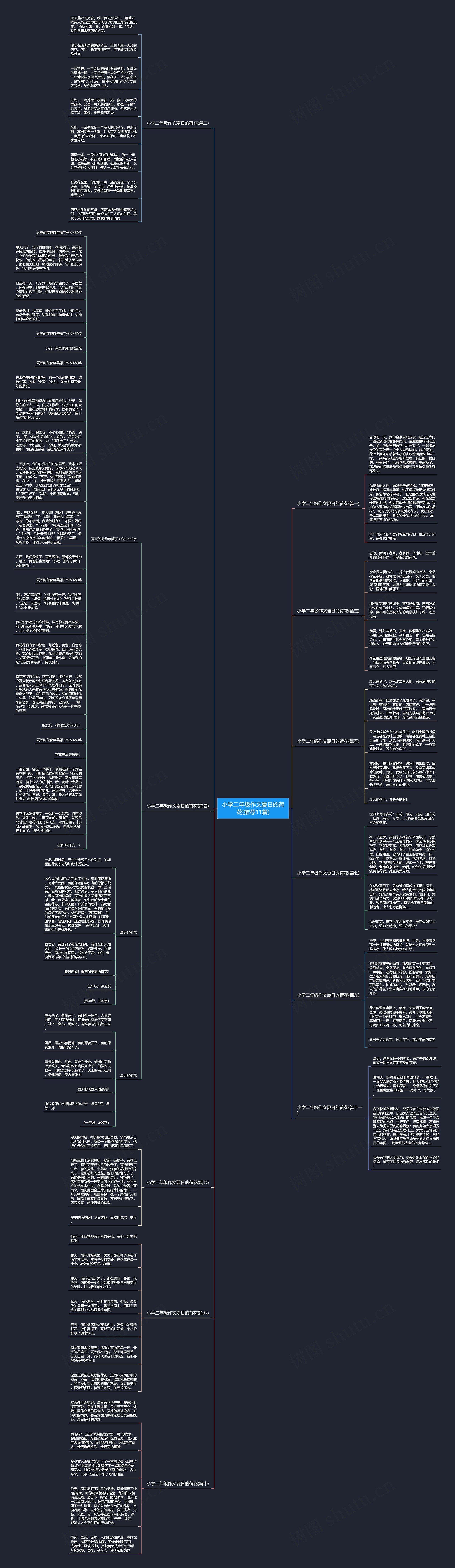 小学二年级作文夏日的荷花(推荐11篇)思维导图