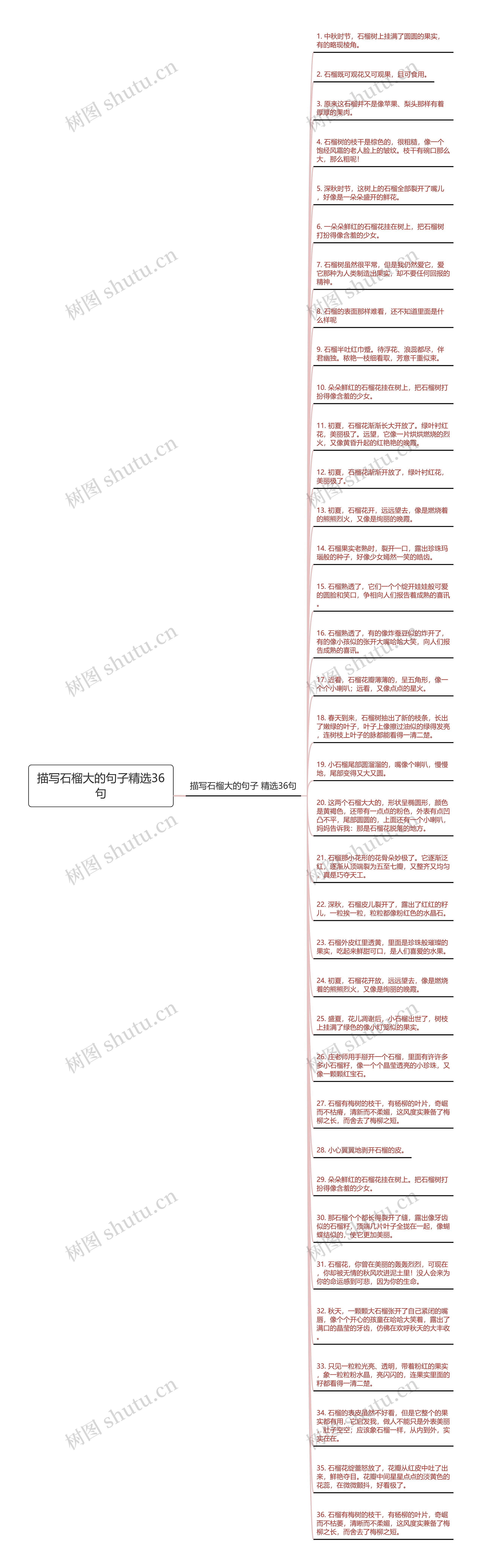 描写石榴大的句子精选36句