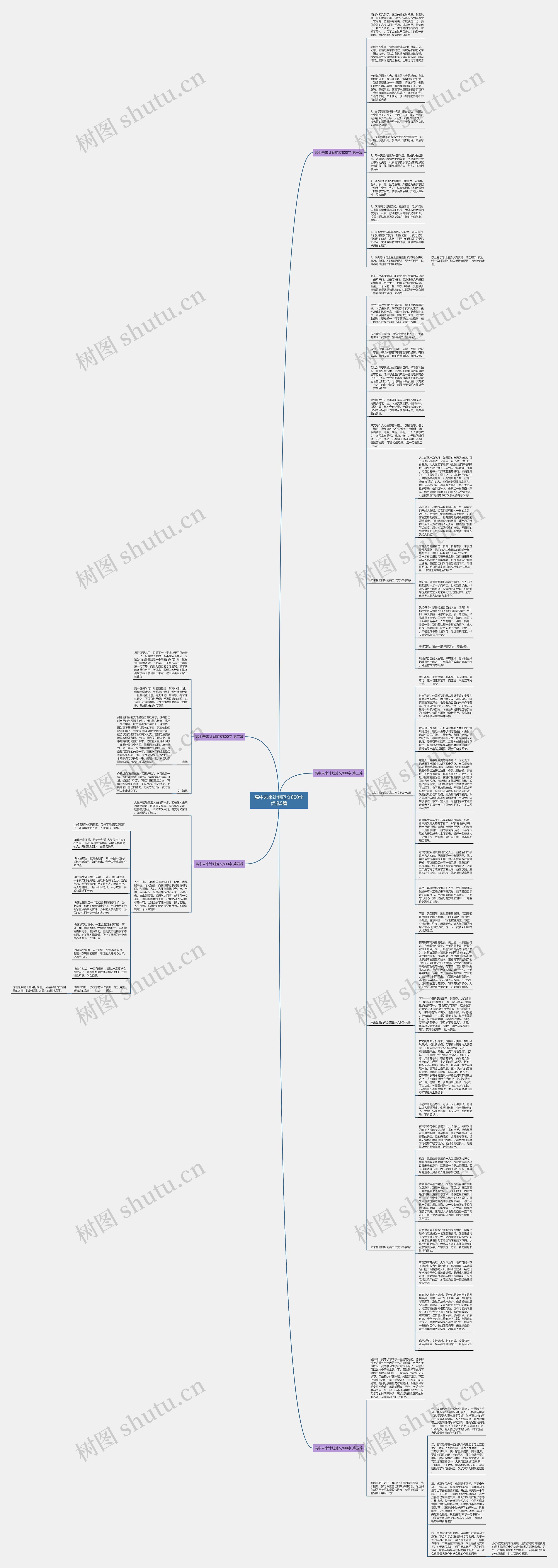高中未来计划范文800字优选5篇思维导图