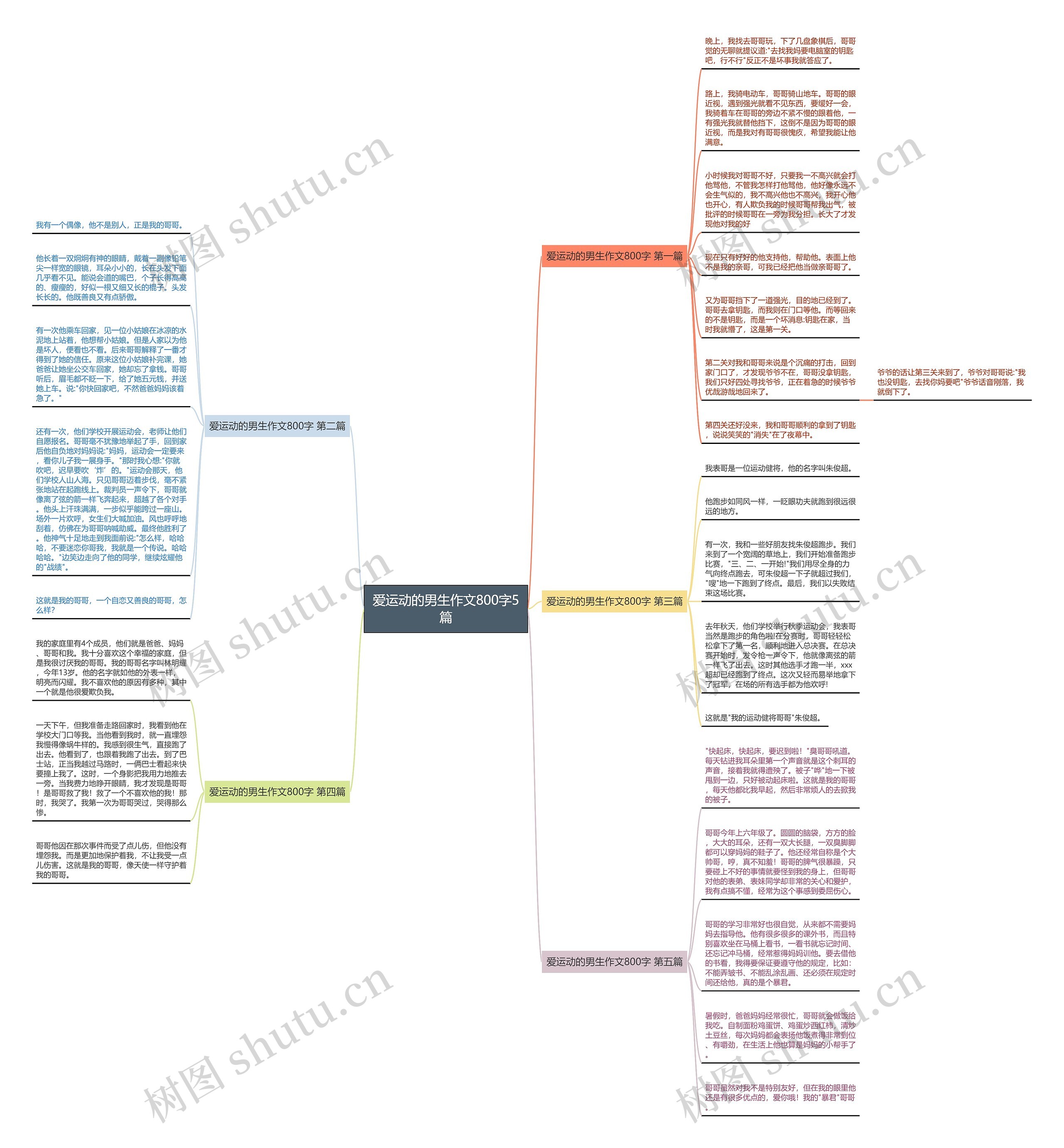 爱运动的男生作文800字5篇思维导图