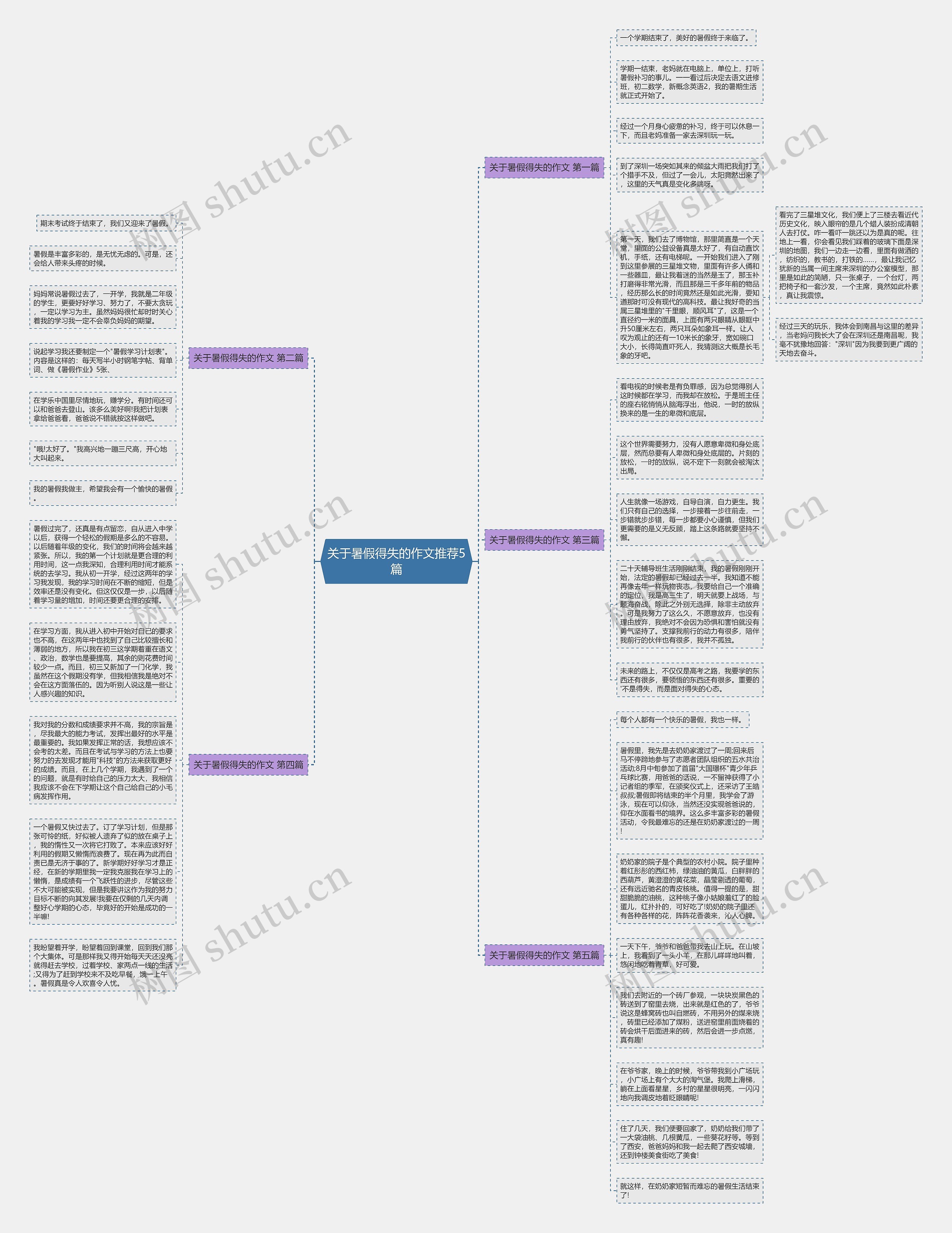 关于暑假得失的作文推荐5篇思维导图