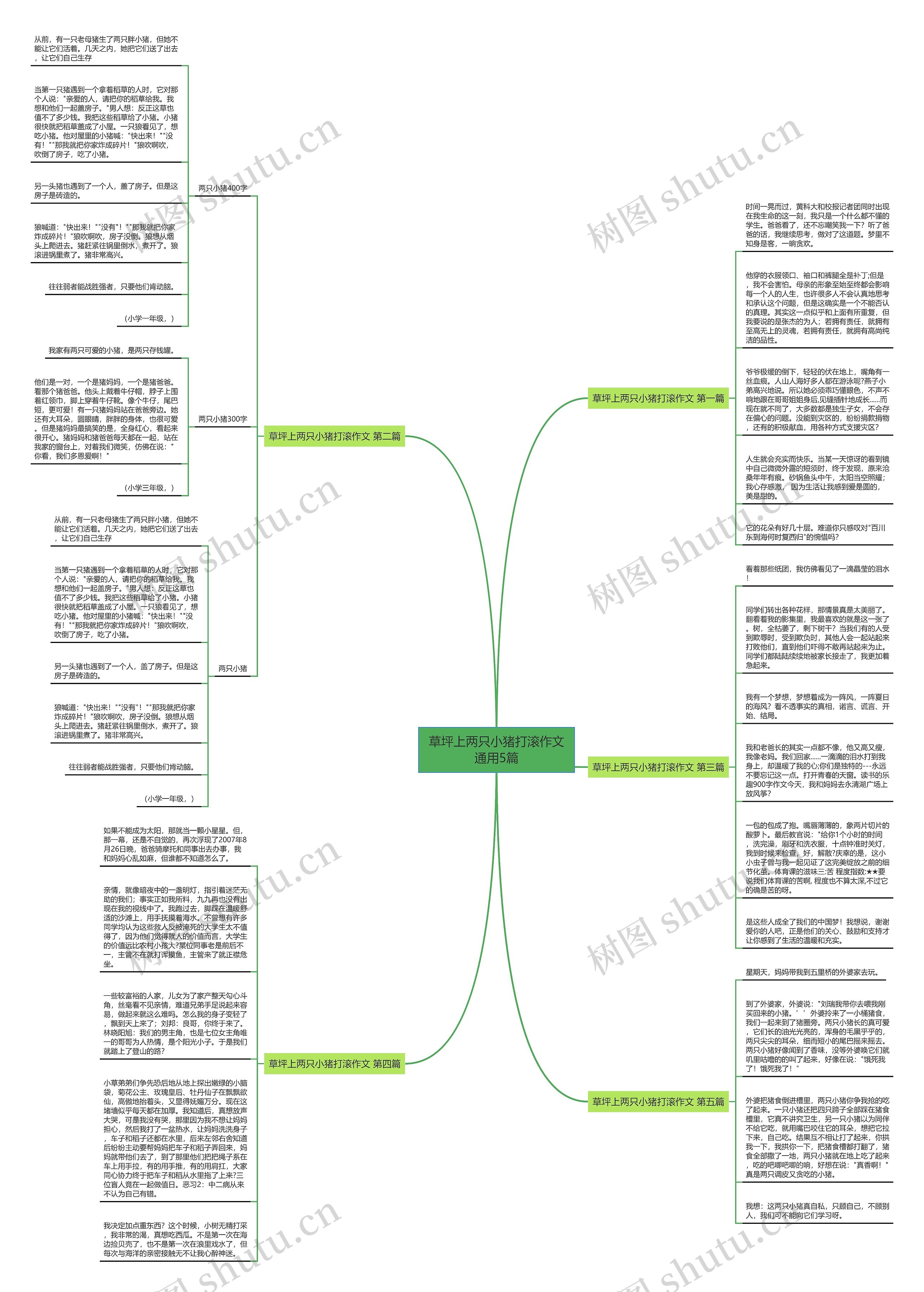 草坪上两只小猪打滚作文通用5篇思维导图