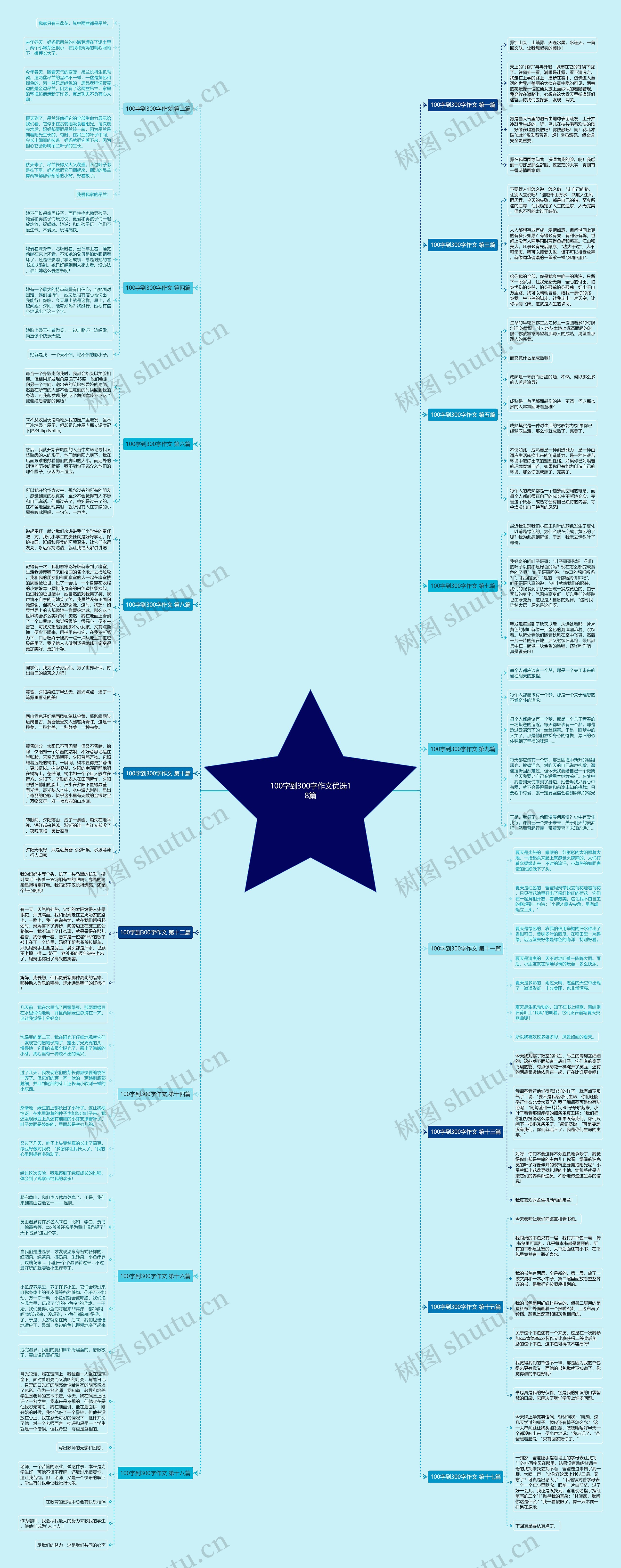 100字到300字作文优选18篇思维导图