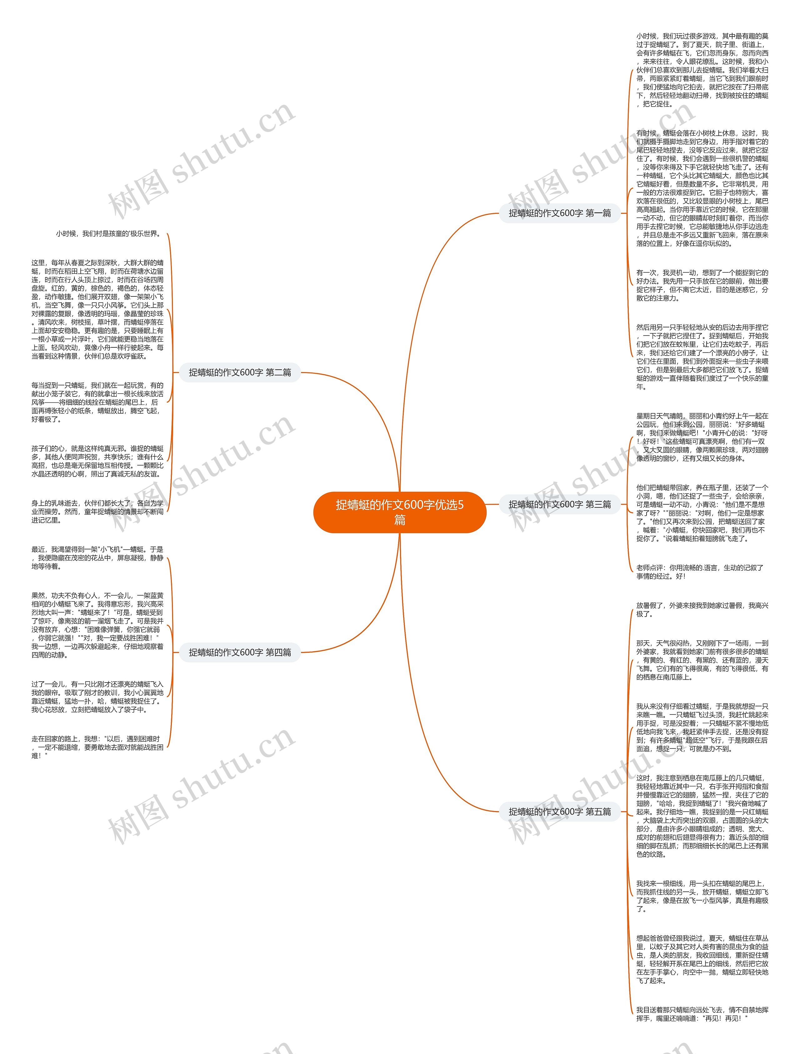 捉蜻蜓的作文600字优选5篇思维导图