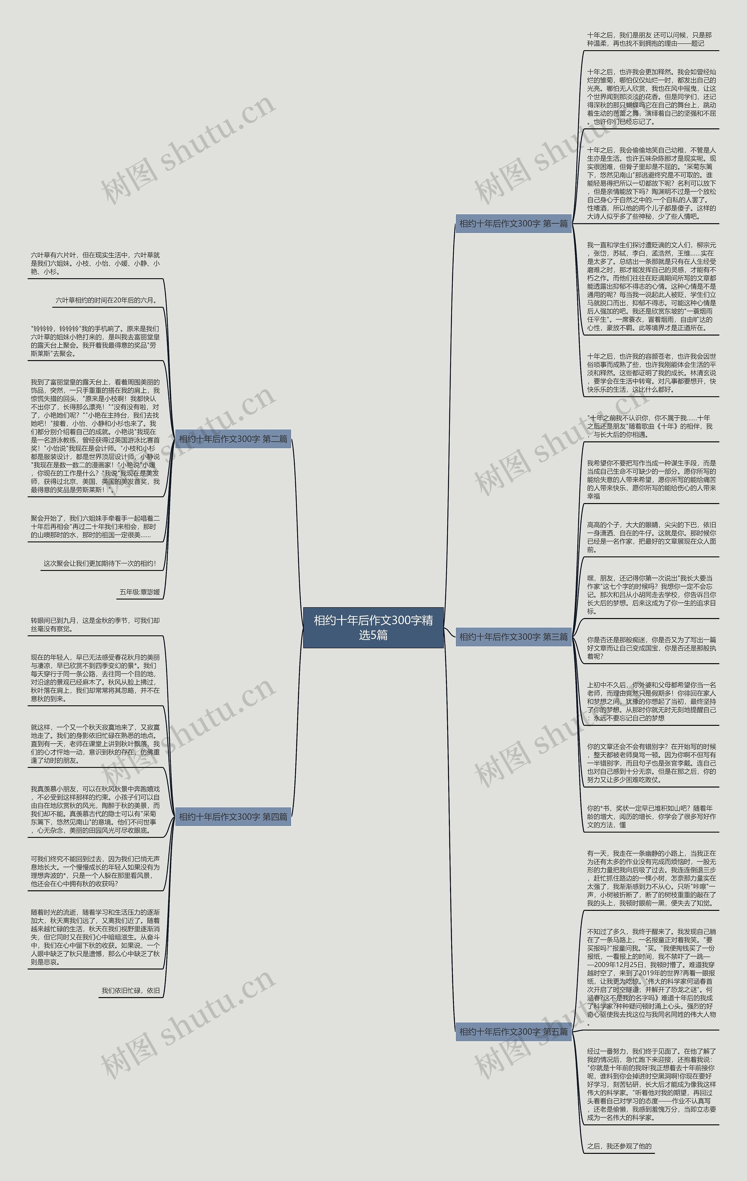 相约十年后作文300字精选5篇思维导图