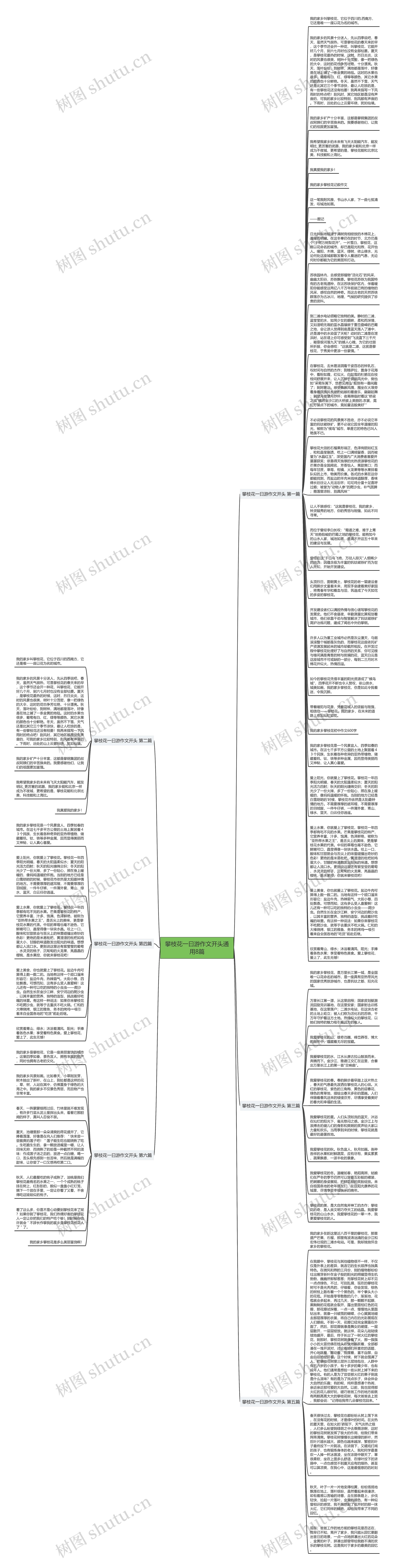 攀枝花一曰游作文开头通用8篇思维导图