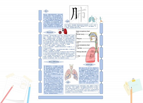 五脏思维导图