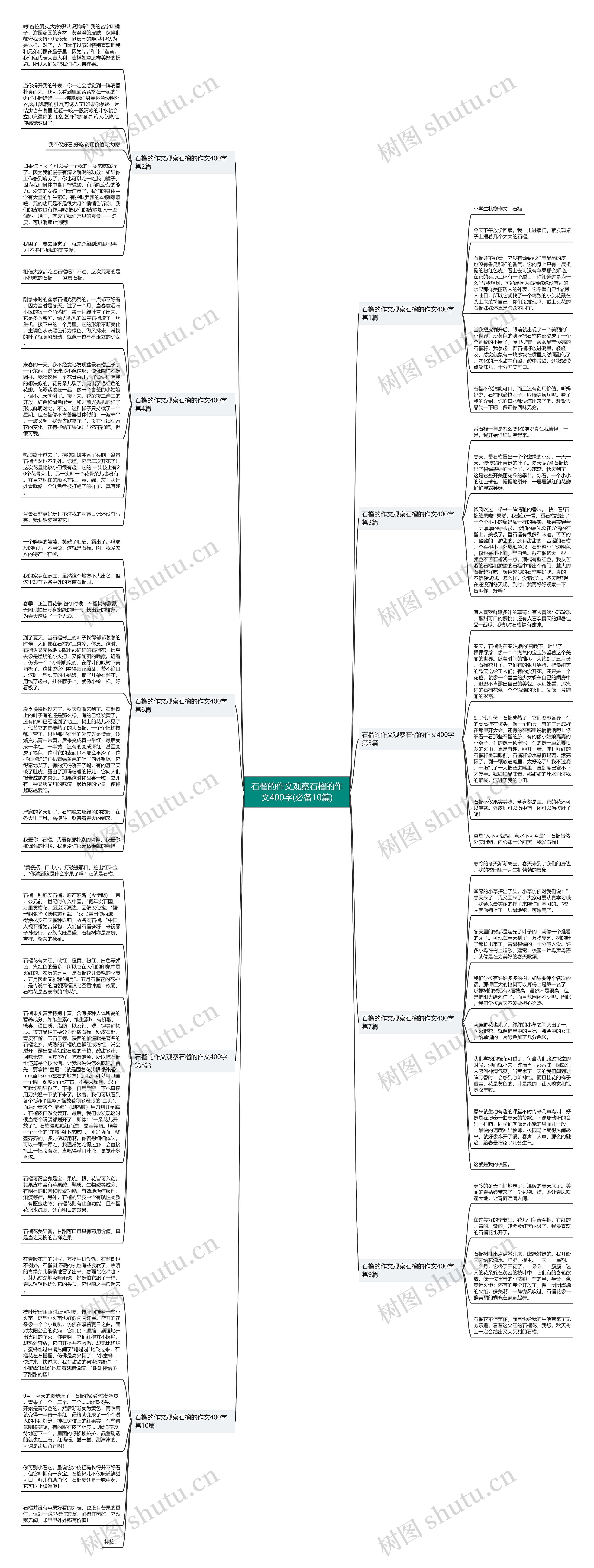 石榴的作文观察石榴的作文400字(必备10篇) 石榴的作文观察石榴的作文400字(必备10篇)